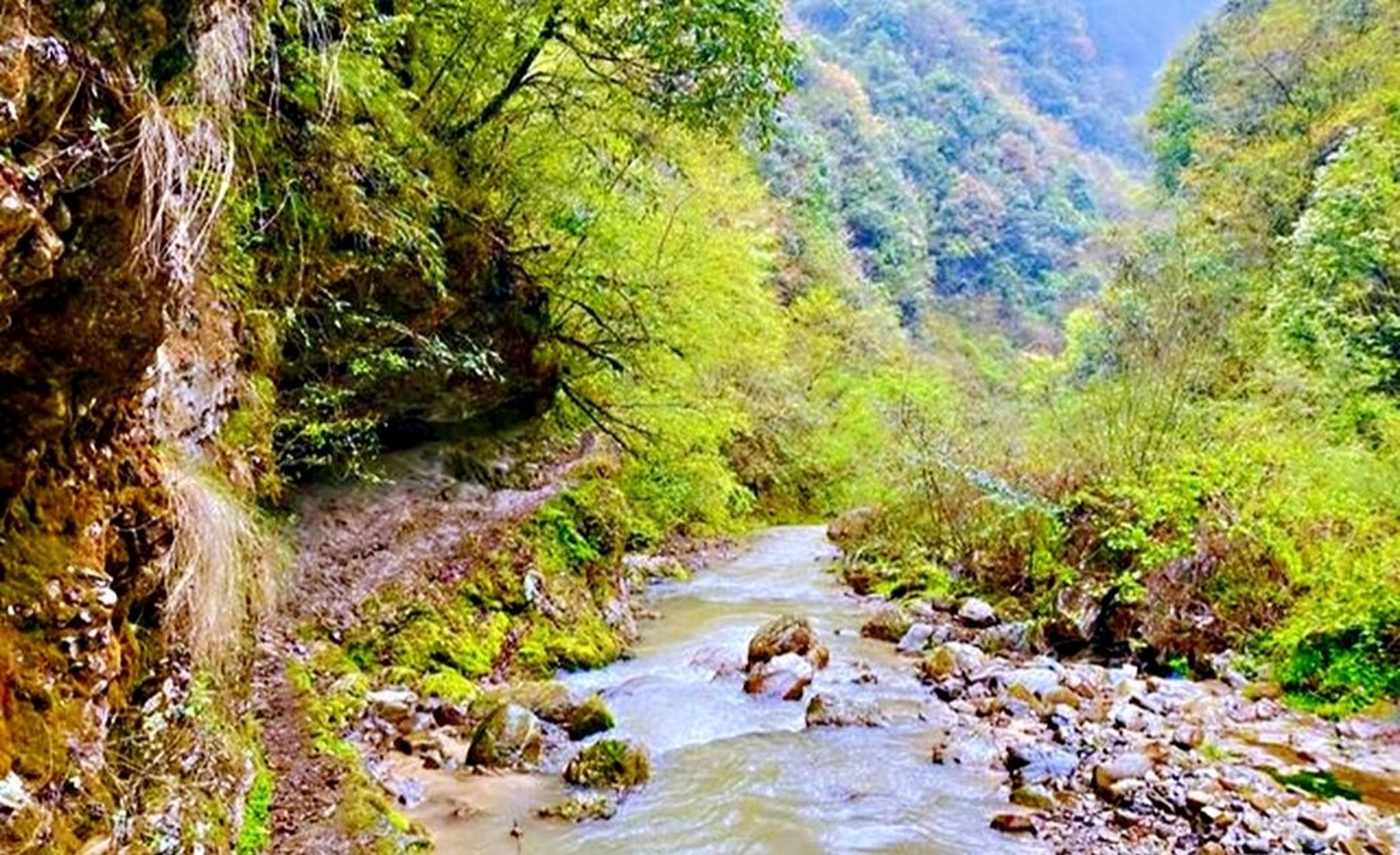 97清溪峡古道,地处凉山州甘洛县坪坝乡境内,南北走向,全长5公里,因