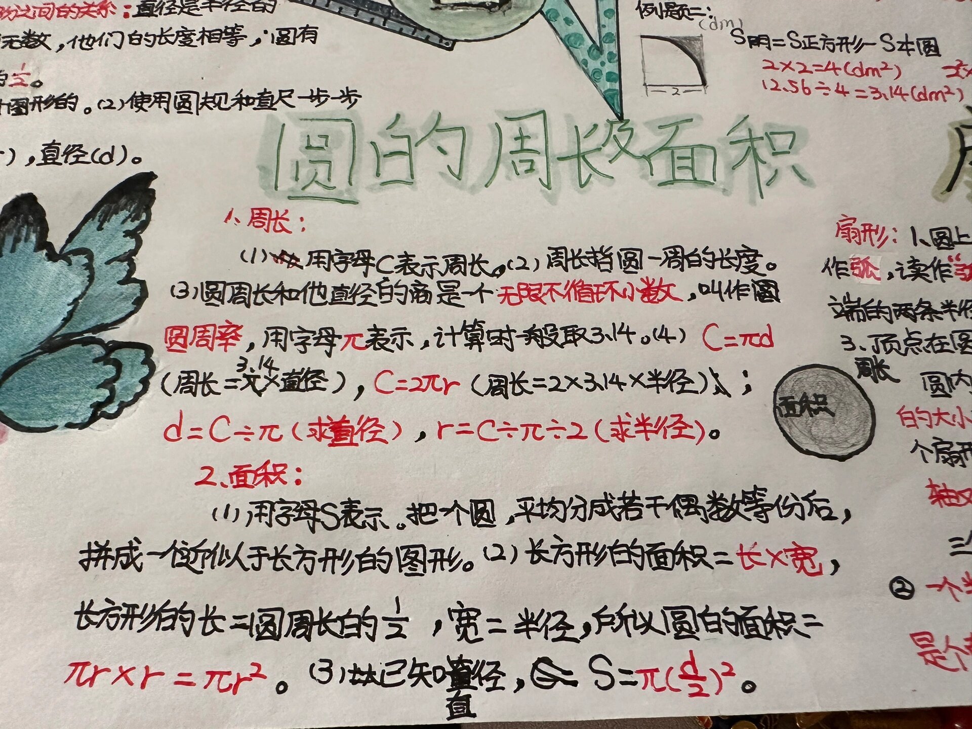第五单元"圆"的思维导图