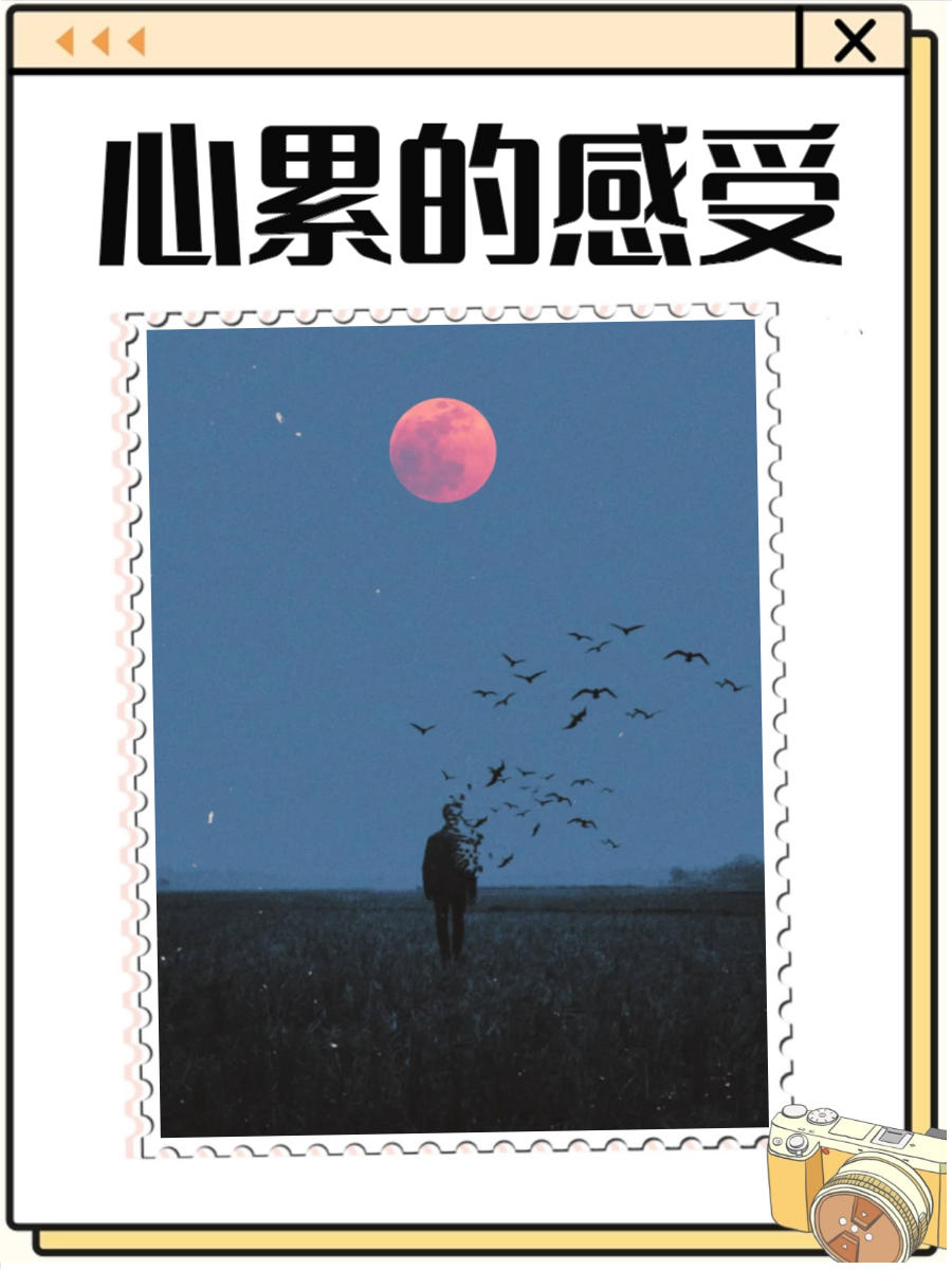 生活压力大时,总有那么些瞬间让我们感到心累