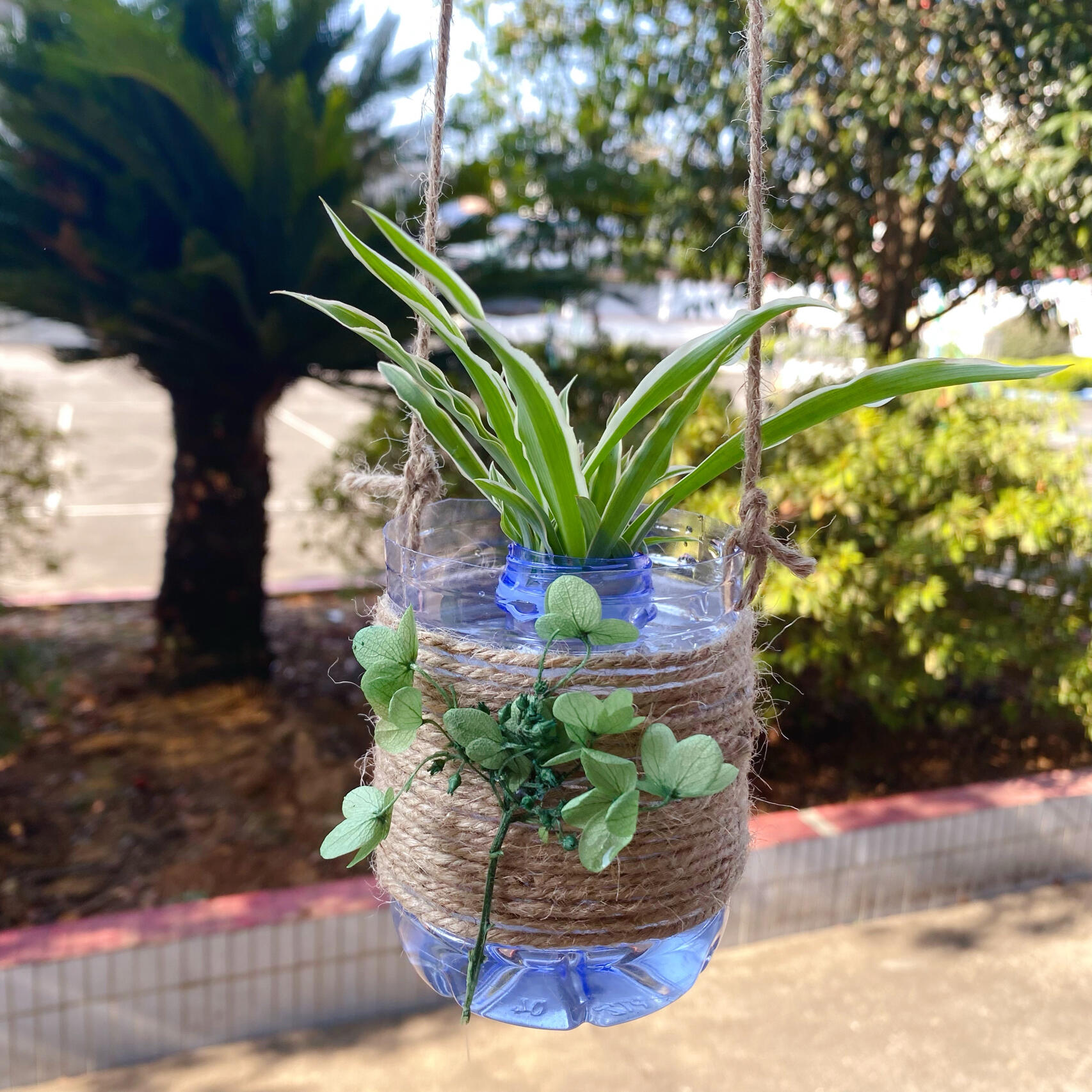 幼儿园废物利用