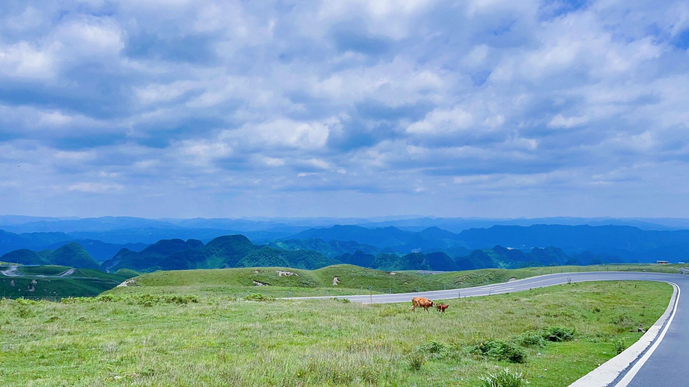 贵州·阿西里西大草原!强烈推荐     太美太治愈了