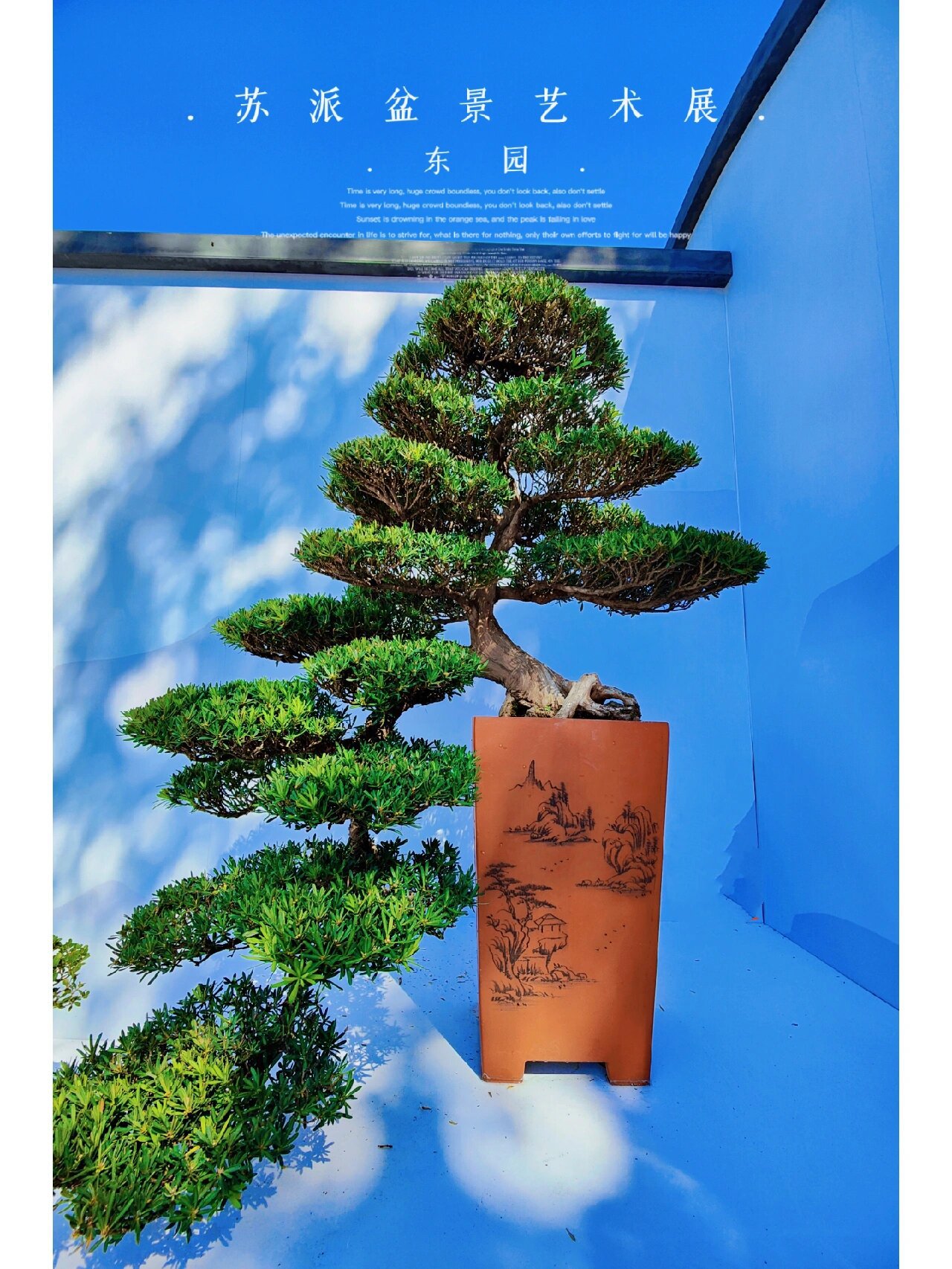 苏式园林‖苏派盆景艺术展