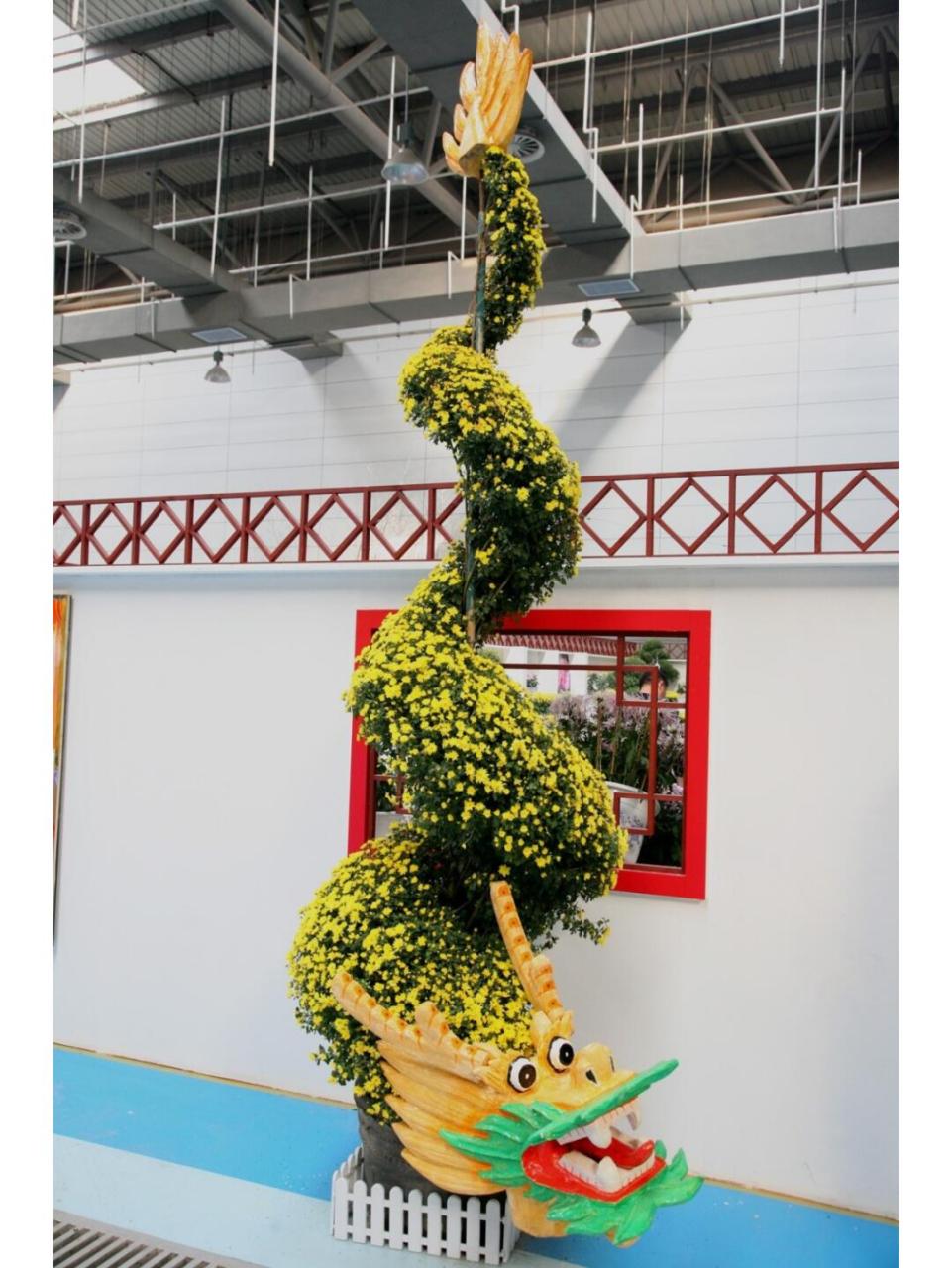 菊花造型艺菊-盘龙菊 蟠龙菊,又名:盘龙菊,是将两棵青蒿栽于盆中,盆中