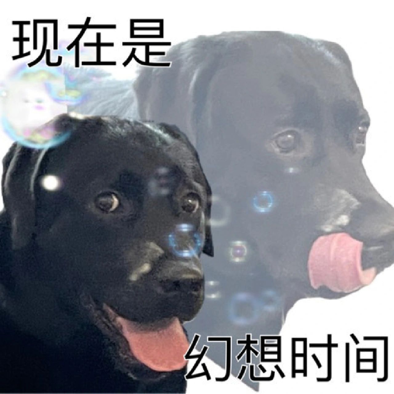 《灵魂出窍》表情包合集