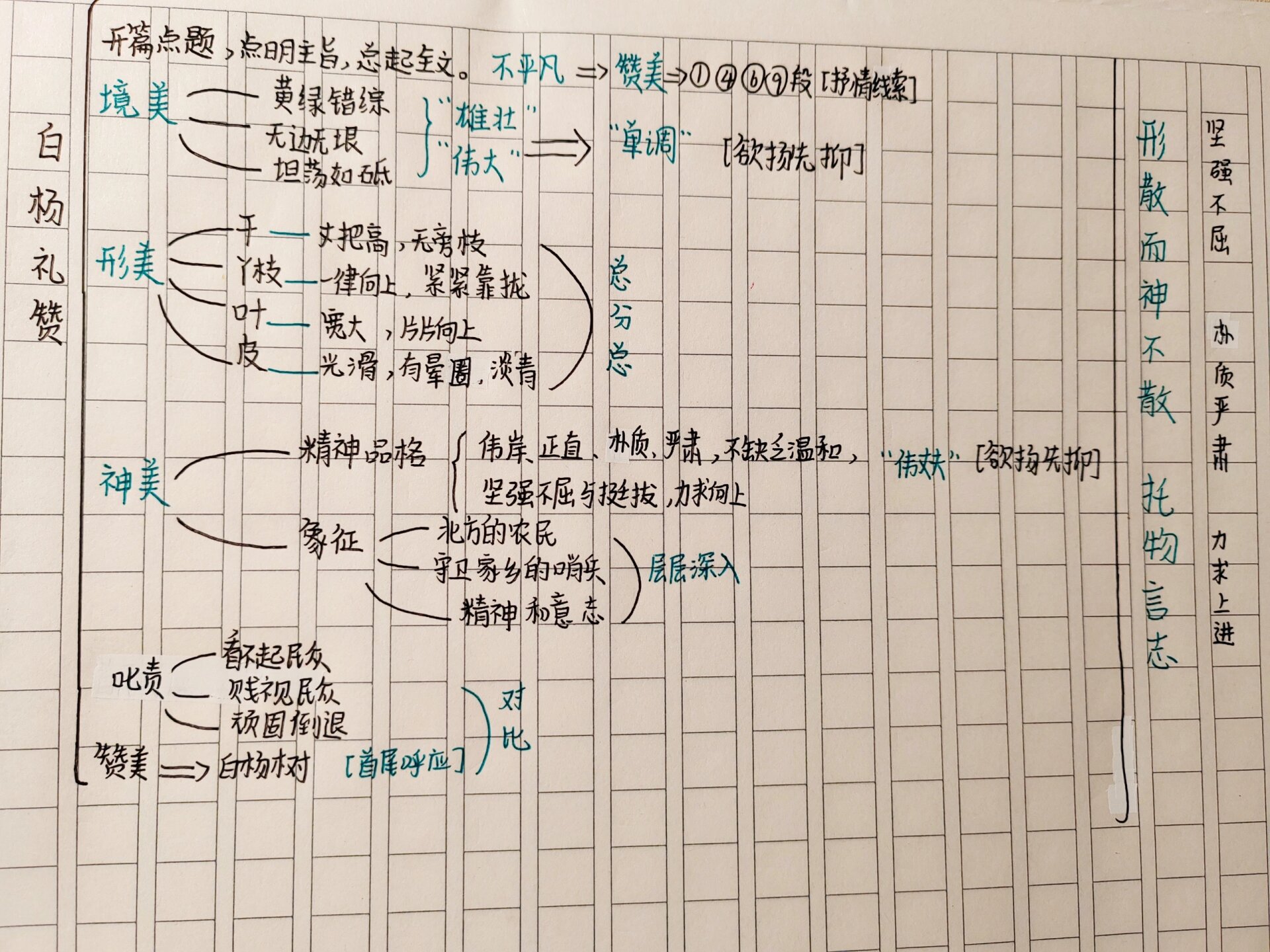 白杨礼赞的思维导图图片