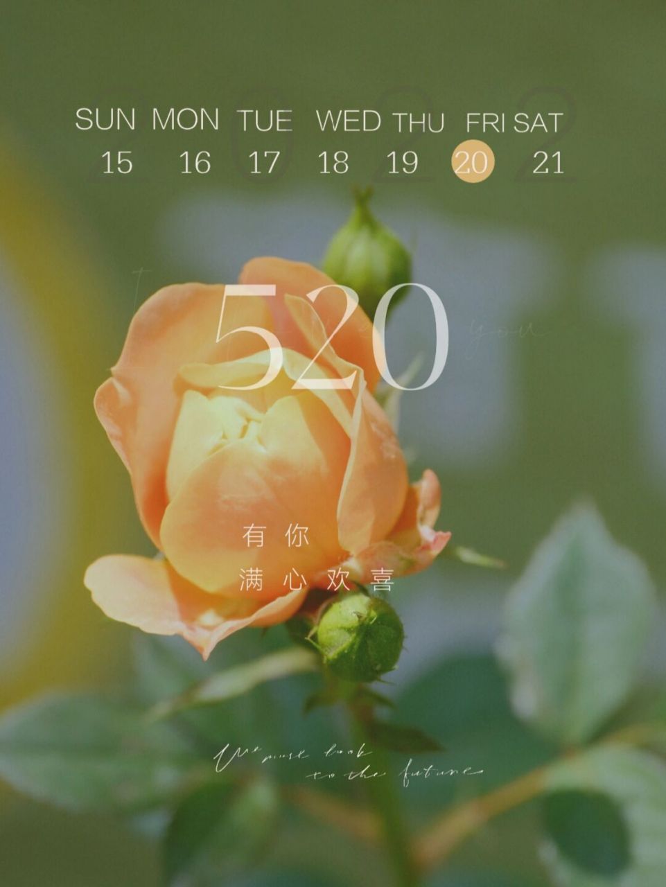 520鲜花表白海报 520朋友圈文案分享 	 有你,满心欢喜 	 我喜欢你,漫