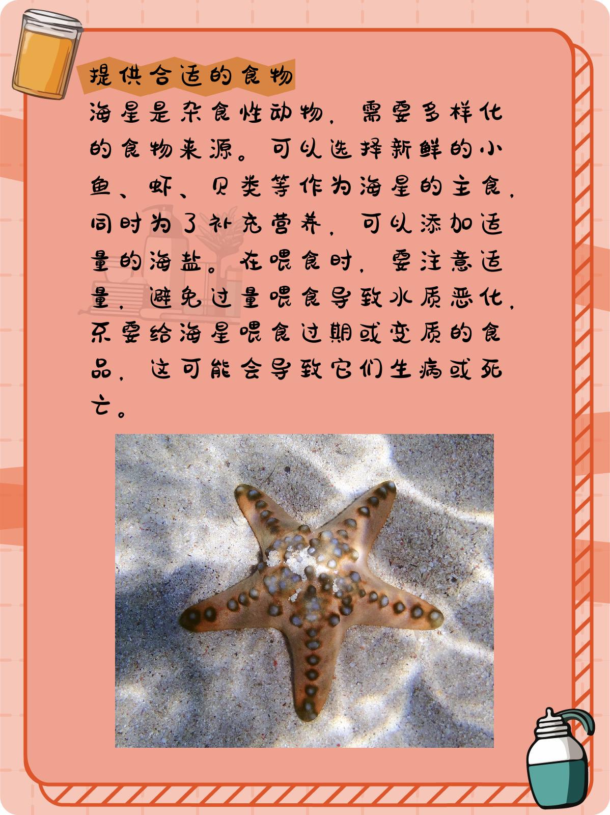 养海星必看!手把手教你如.@大师兄的生活百科的动态