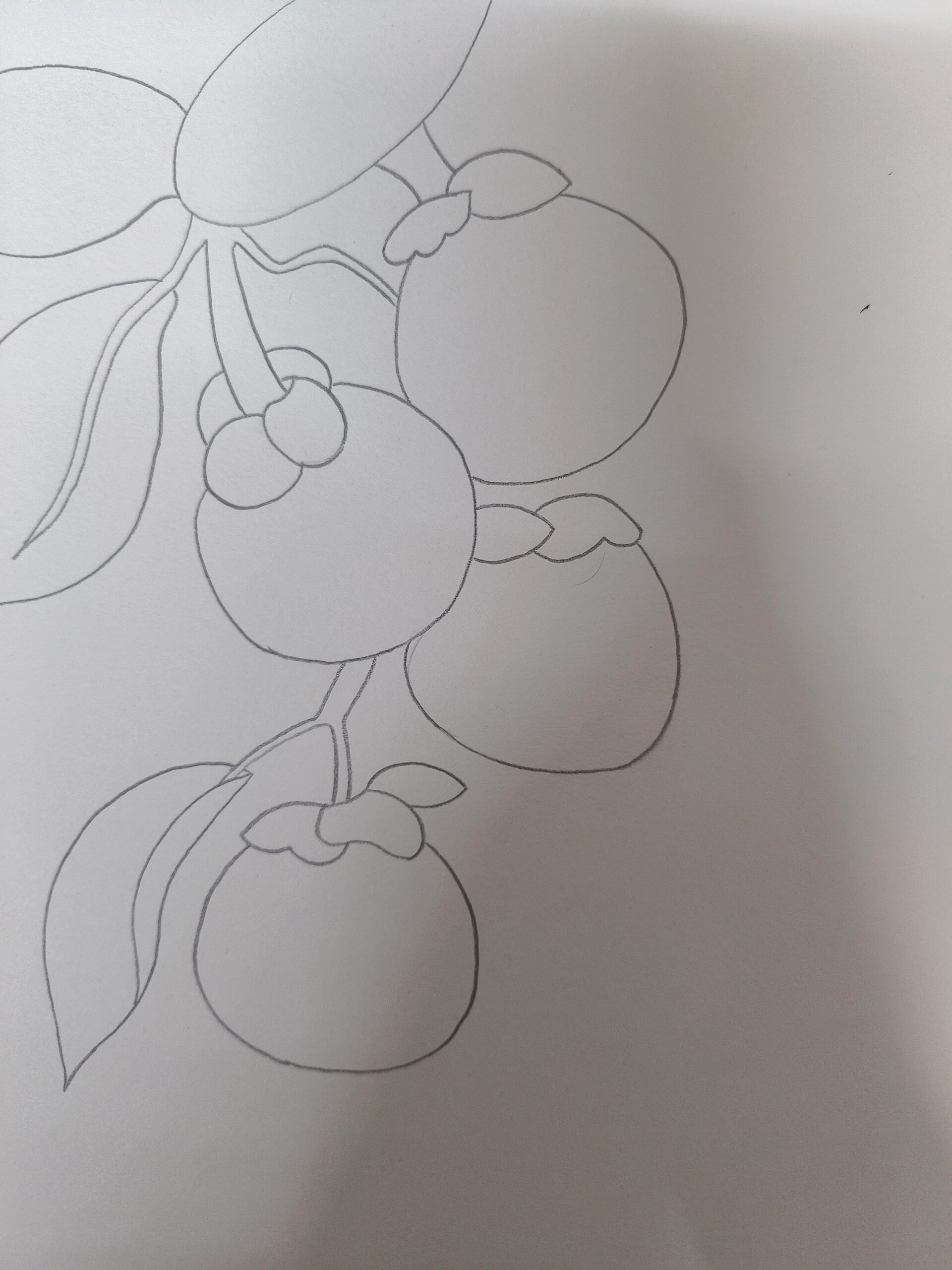 柿柿如意线描画 新的一岁,希望事事如意,事事顺心