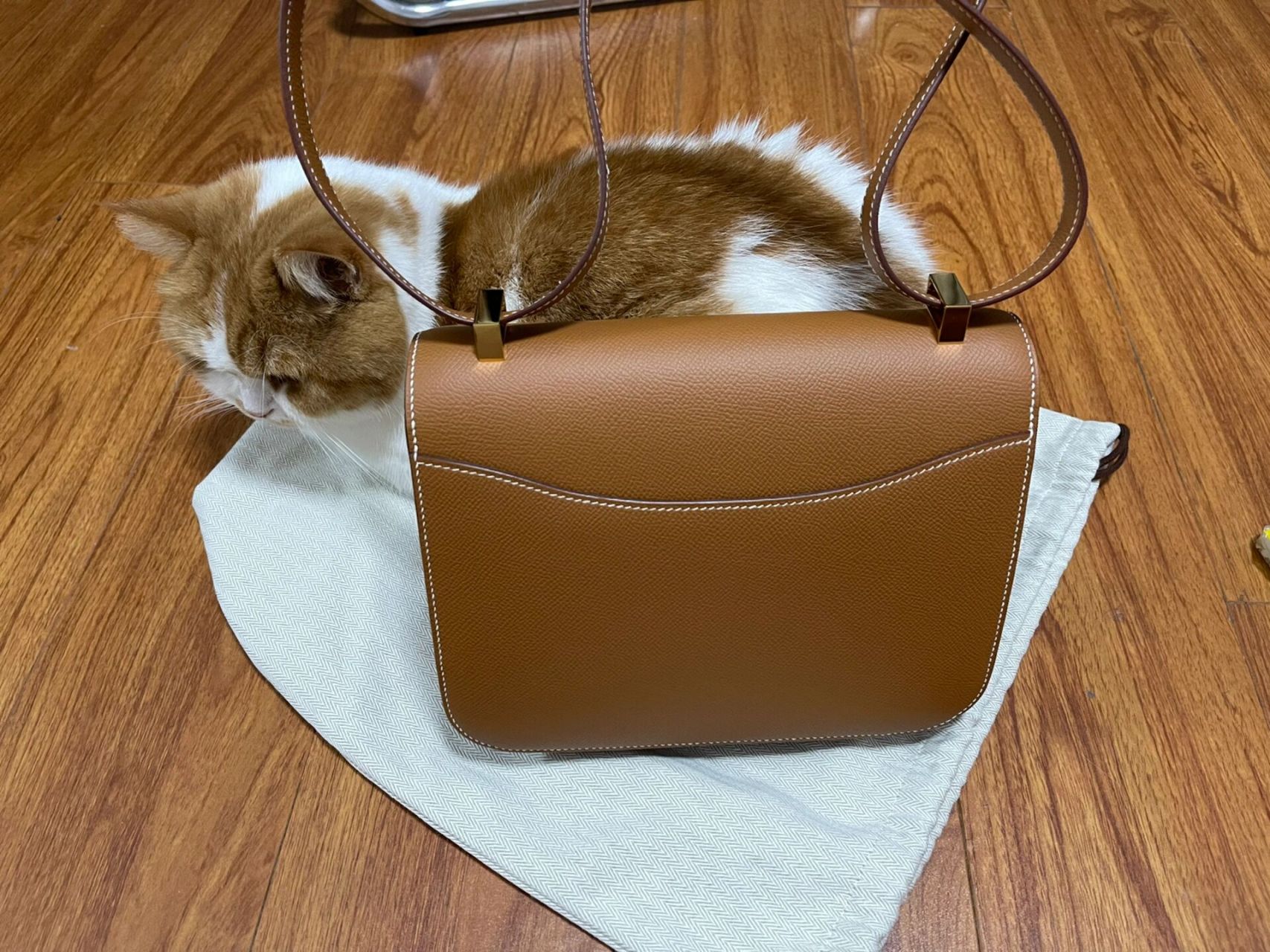 爱马仕新版康康24 gold 金 e皮 24 单层带小镜子 已经背了快两个月了