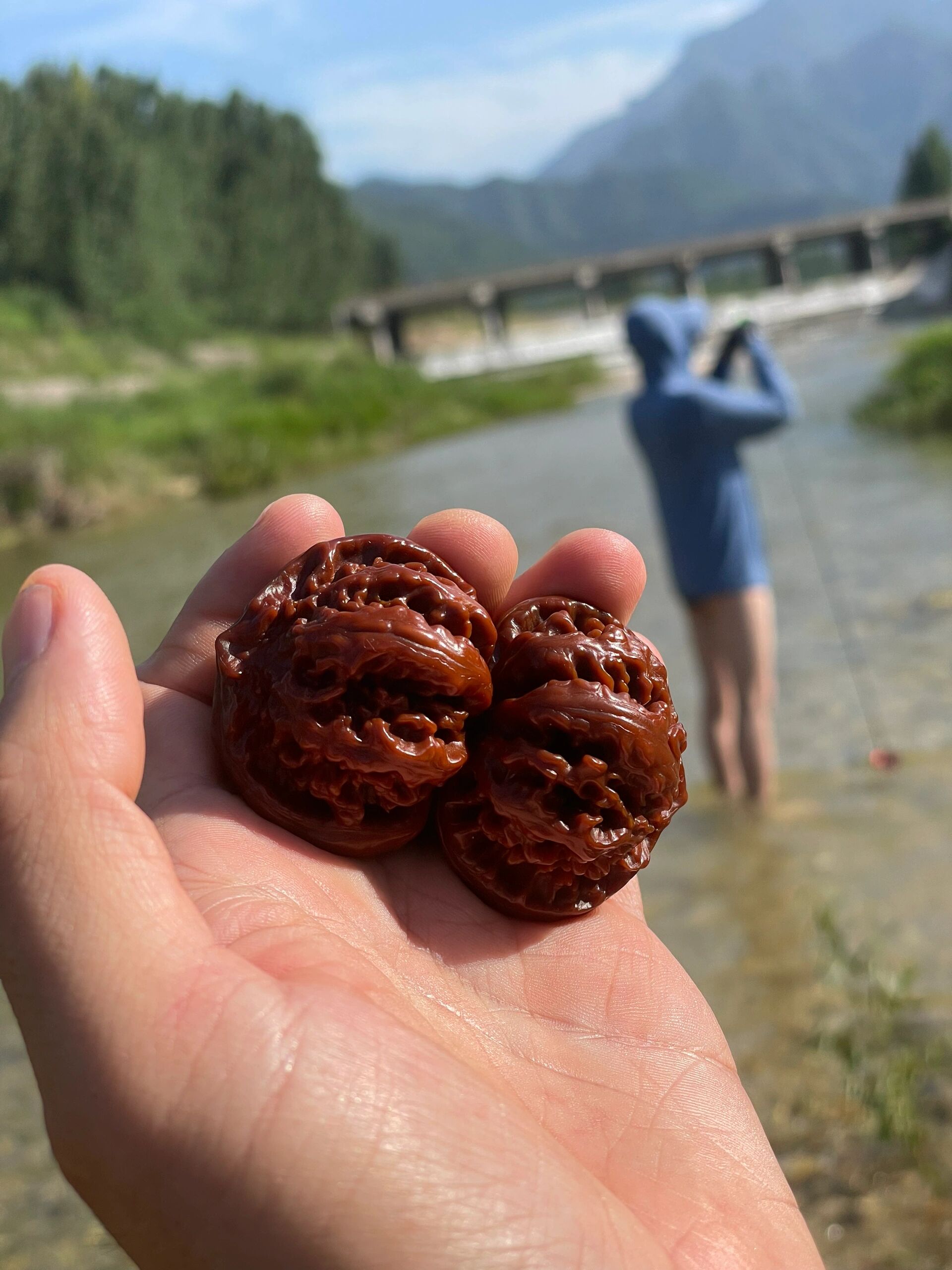 盘玩四年的秦岭粗筋灯笼王