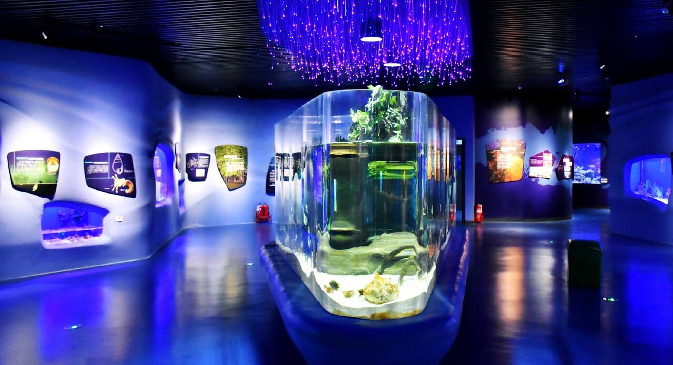 海博馆 蓝色家园活体展厅 国家海洋博物馆,蓝色家园活体展厅,展出的都