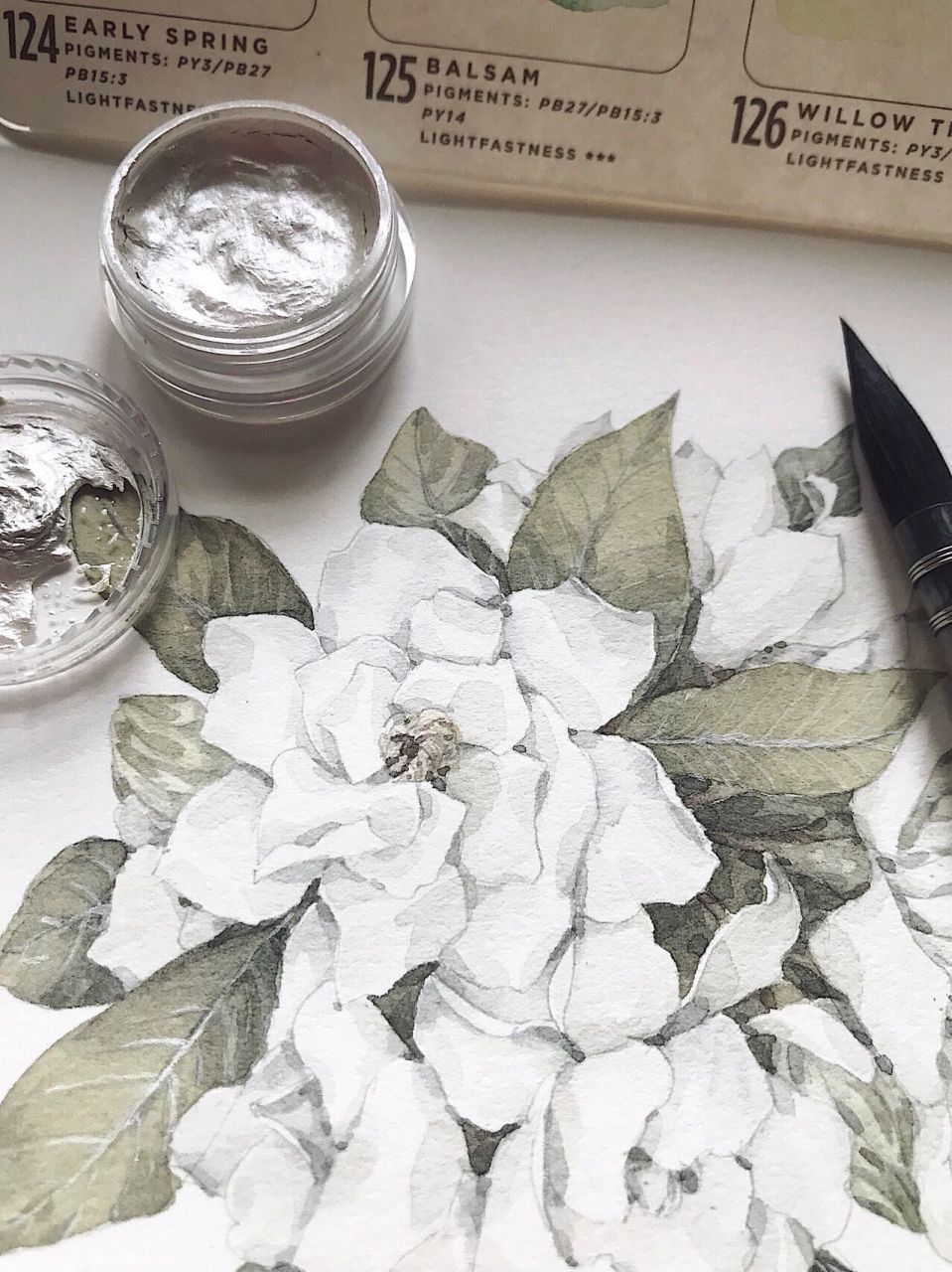 栀子花,水彩过程(有线稿) 清新淡雅的栀子花 颜料,佩玛地貌盘 纸,获多