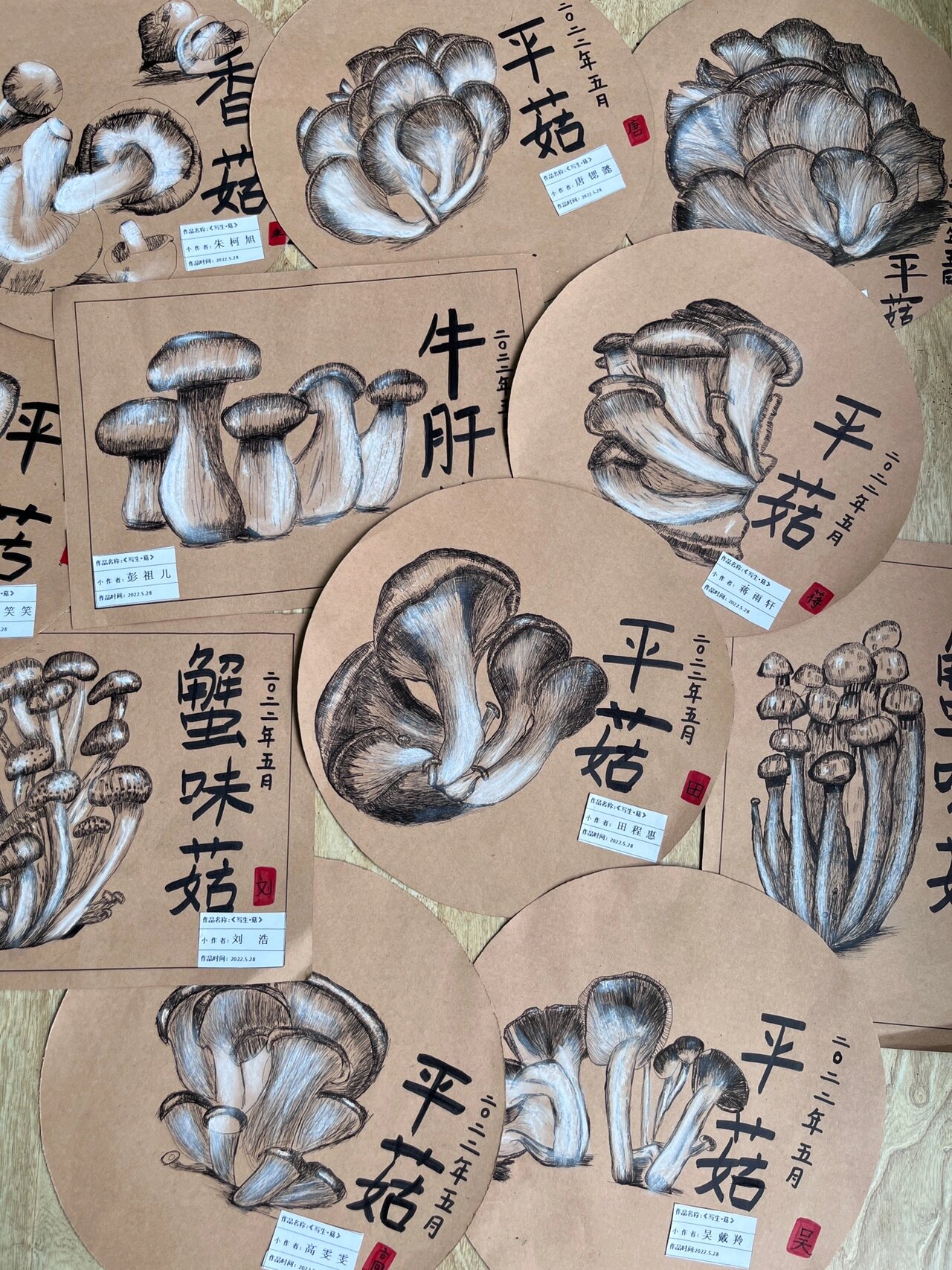 《写生·蘑菇》 #写生# #线描画# #黑白画# #创意# #创意美术# #儿童