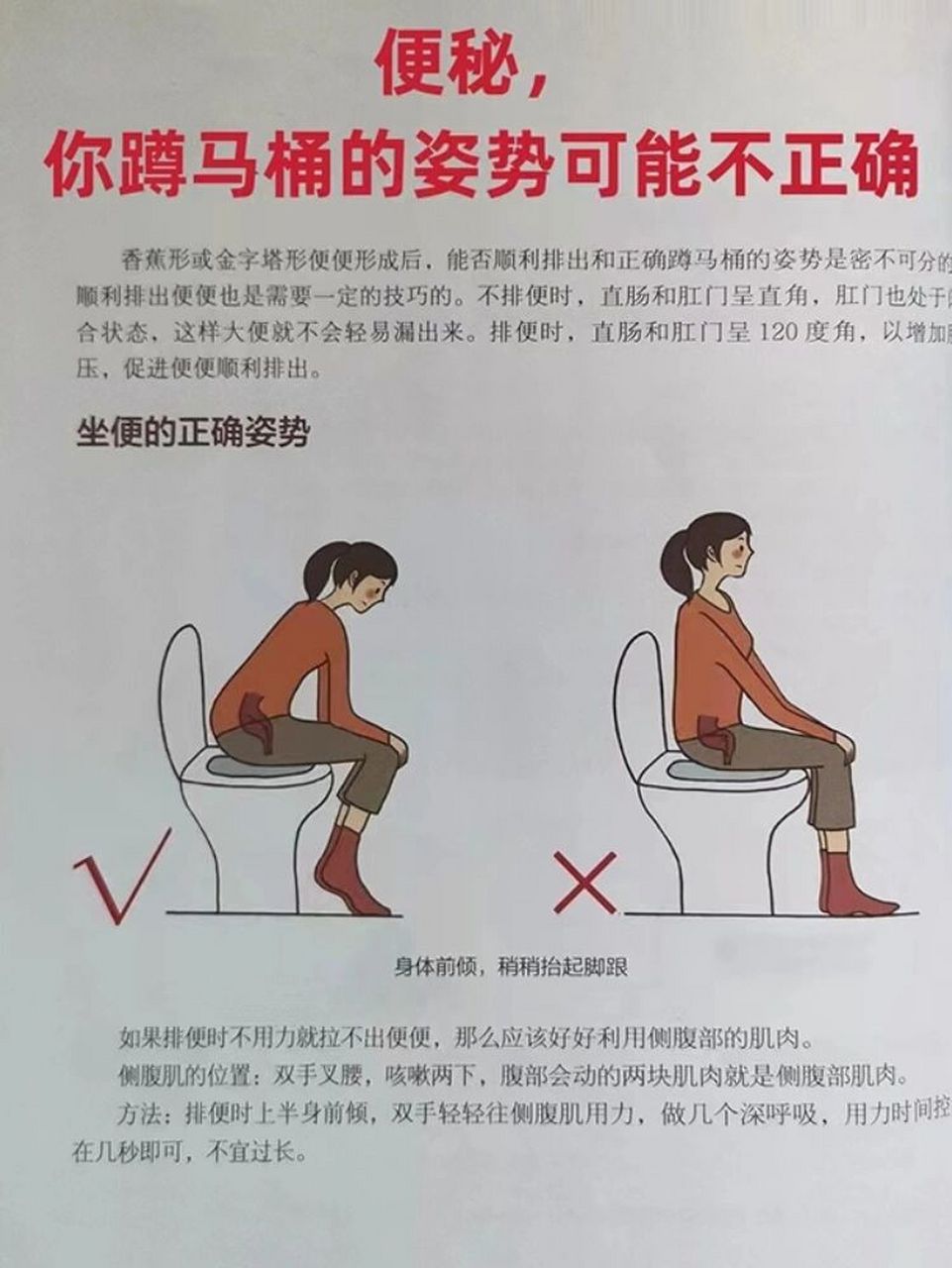 92 大便形成后,能否顺利排出和正确蹲马桶的姿势也分不开6015