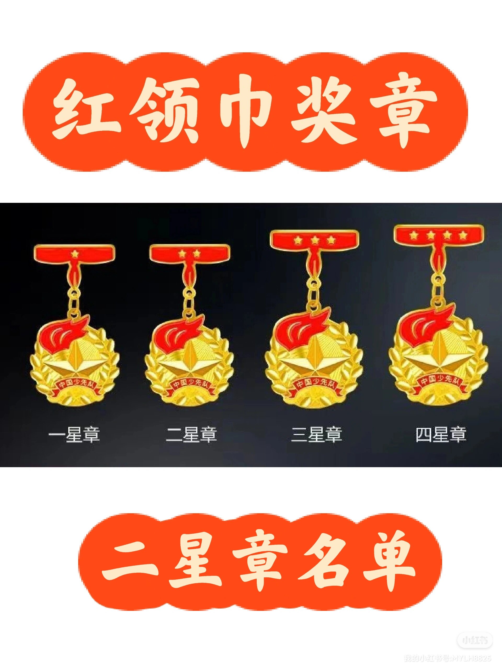 红领巾二星章名单
