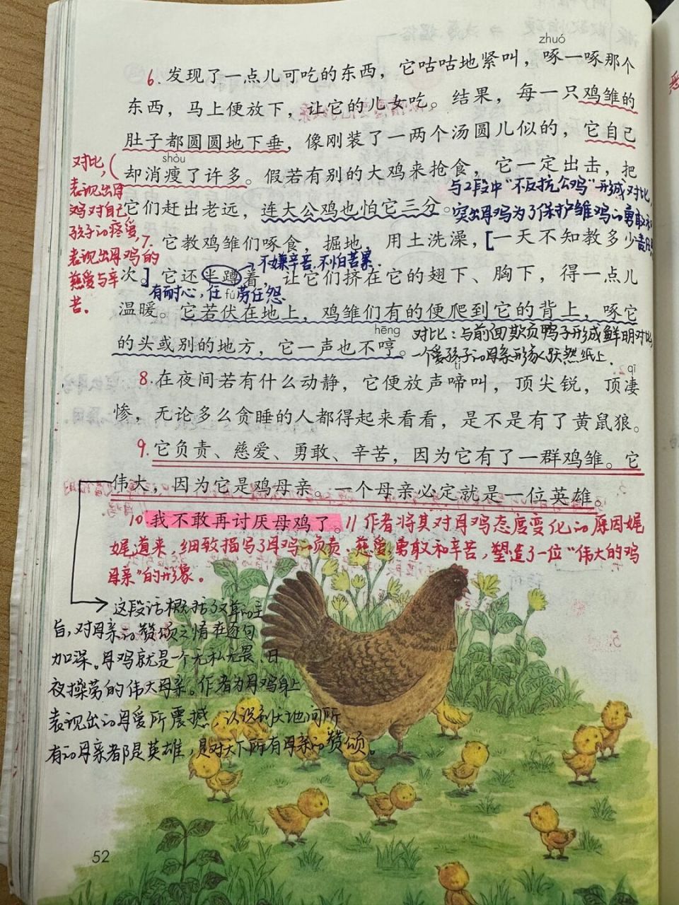 四年级下册母鸡的笔记图片