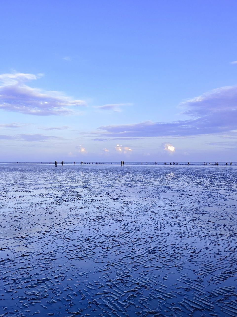 蓝调时刻|南汇新城海滩 海与浪,温与柔,爱与不爱皆自由
