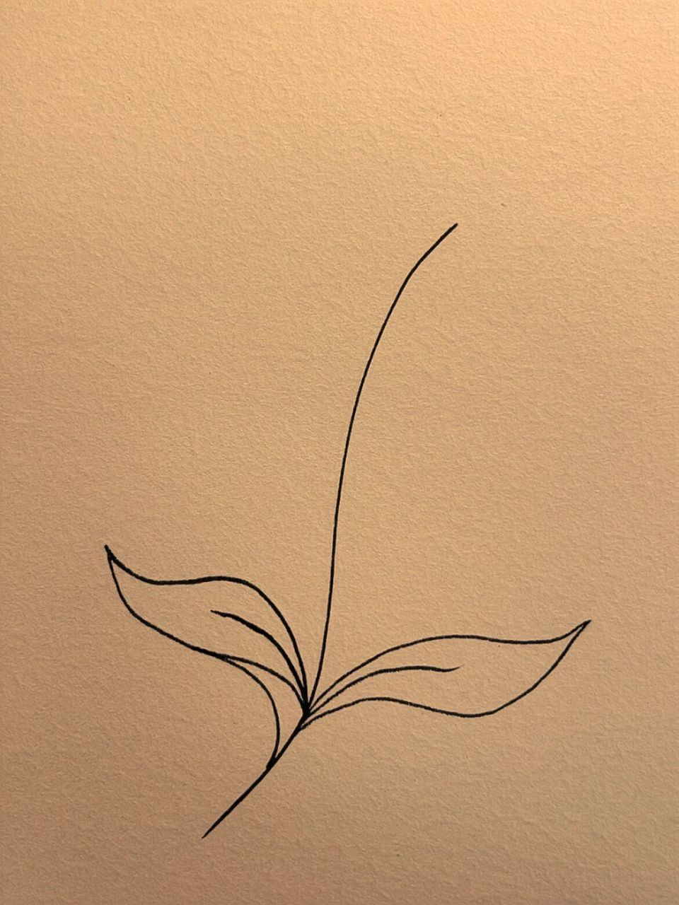 57 不用画线稿的简笔素材78藏在墙角的花 97793134 37
