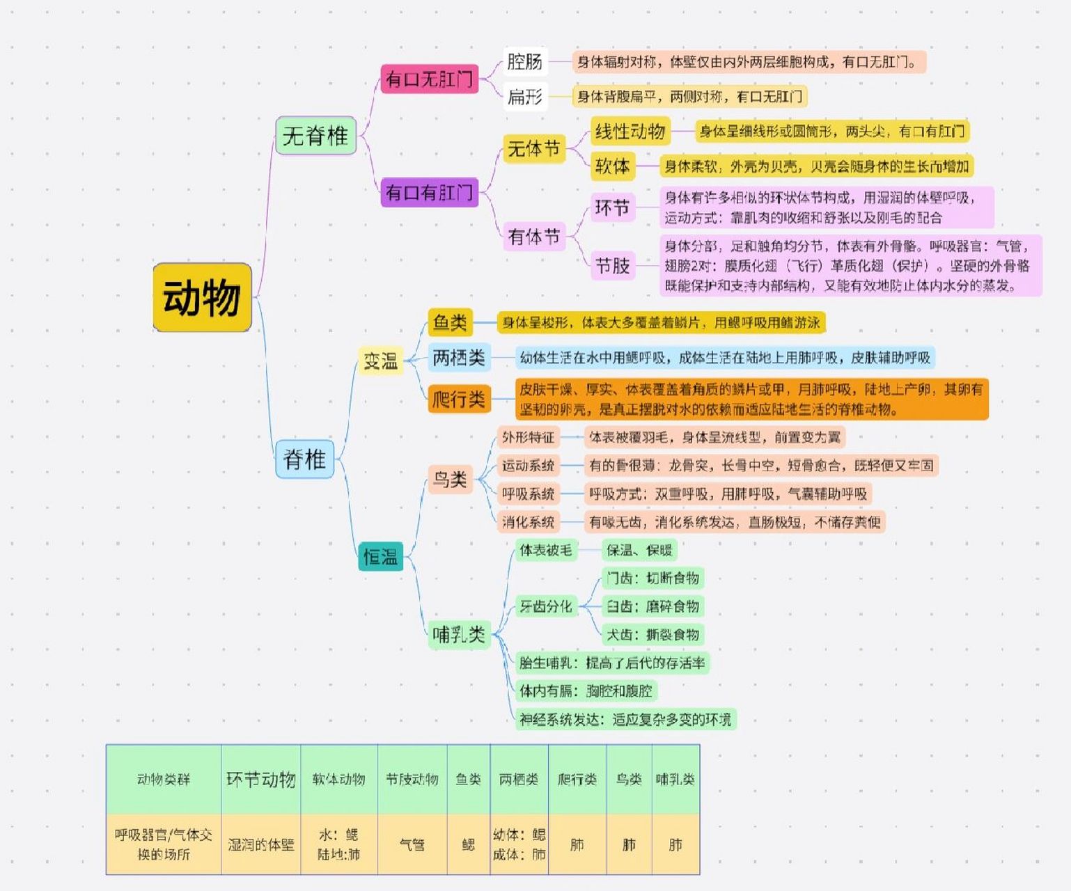 济南版七年级生物动物的类群思维导图      梳理知识点,让知识点更