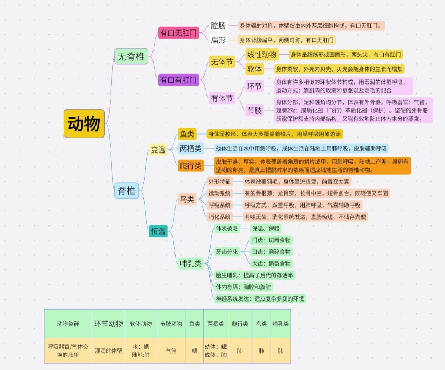 七上脊椎动物思维导图图片