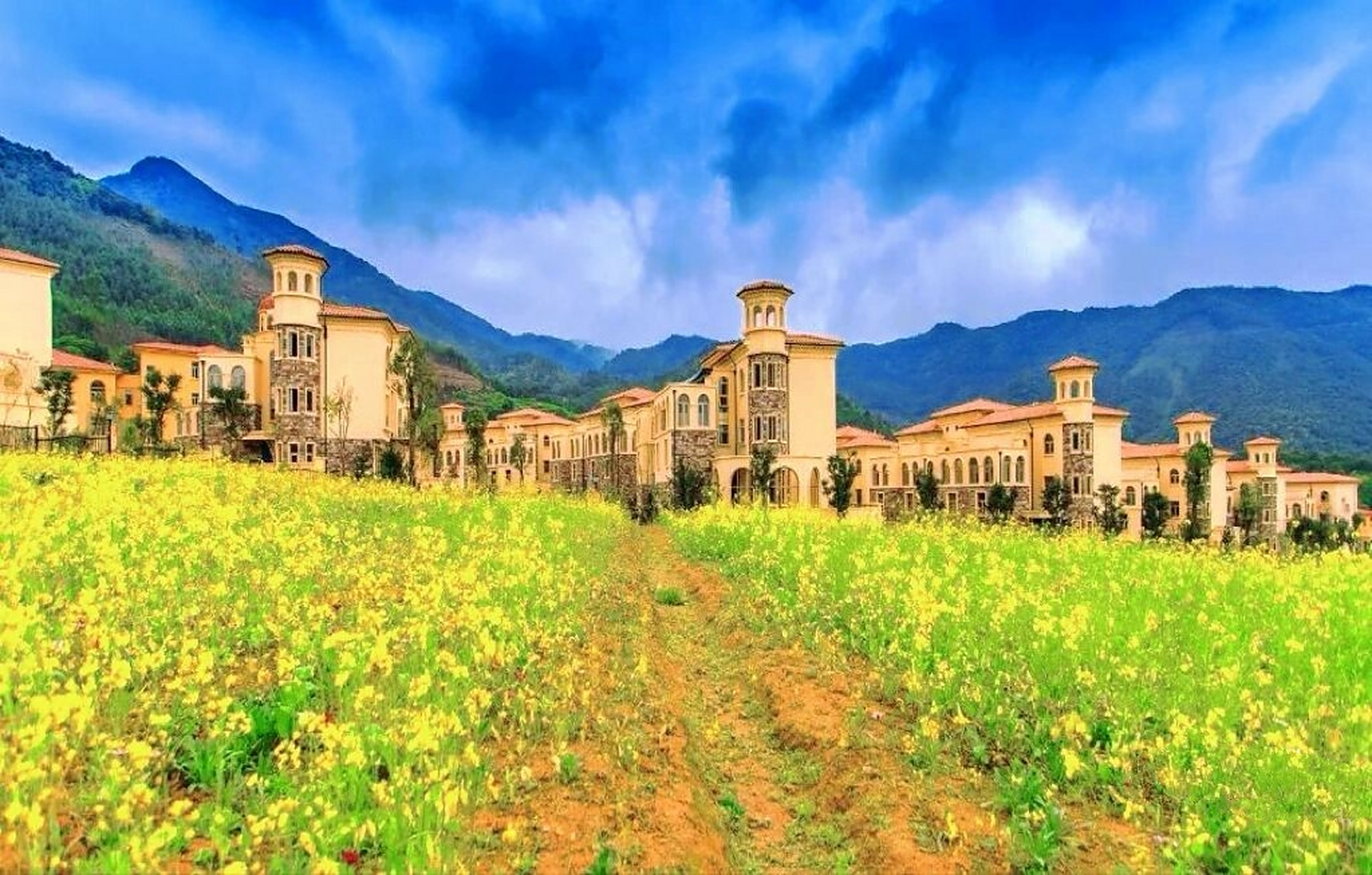 我最近去了漳州的十里蓝山,漳州本地的小伙伴带我们来到这个美好的