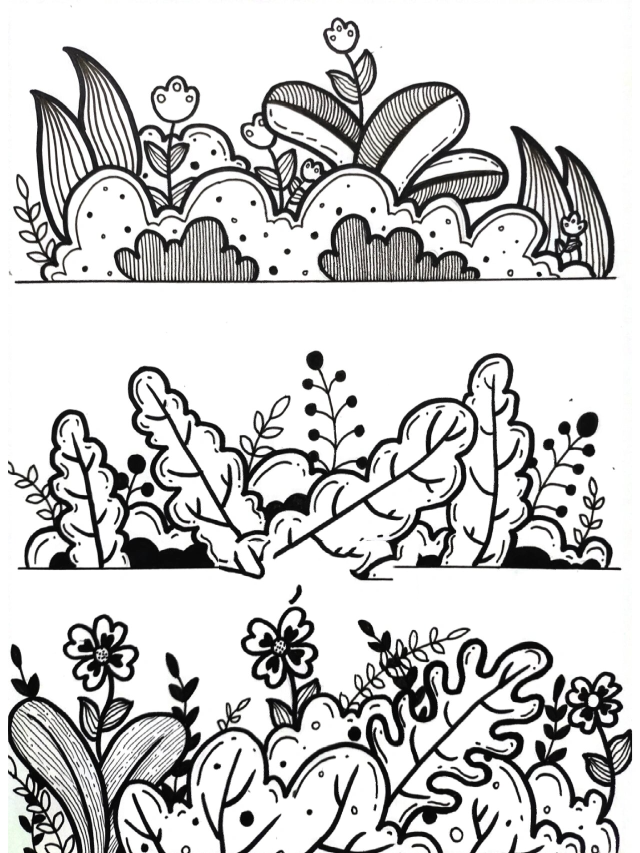 黑白线描画打卡day43 今日给大家分享简单的草丛练习 没基础的也可以