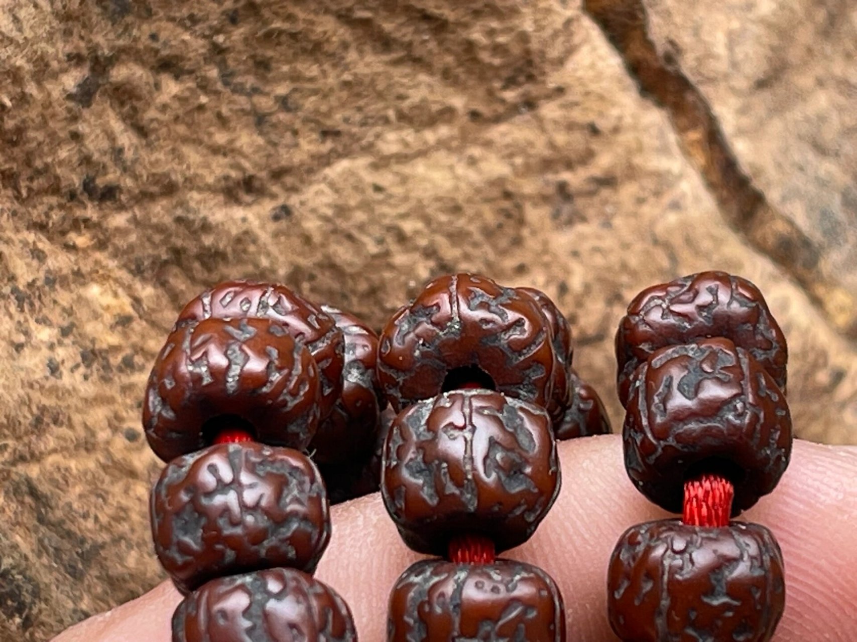 藏区老金刚菩提,喜欢的不要错过