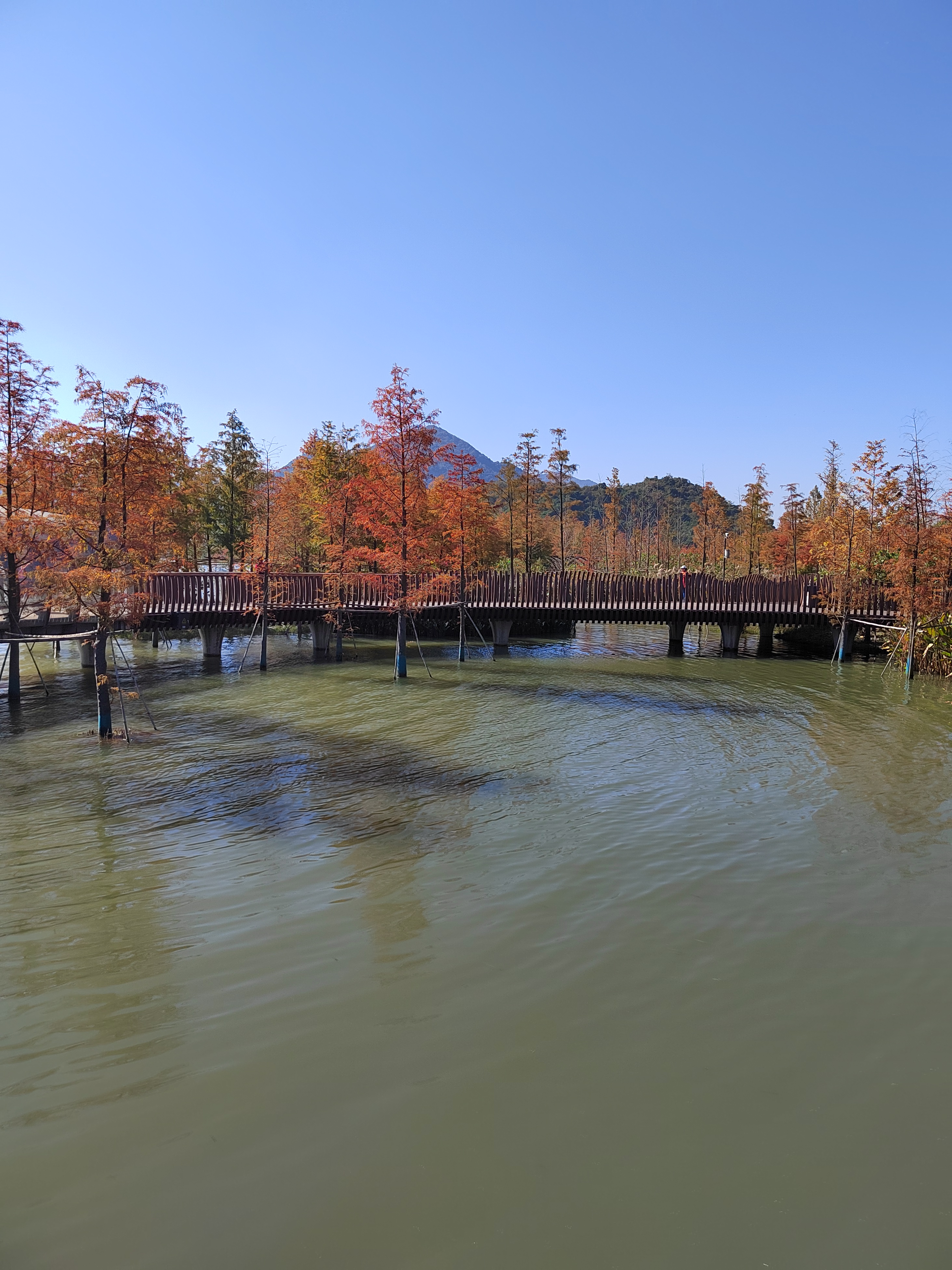 美丽西湖区双浦镇铜鉴湖欢迎大家来游玩