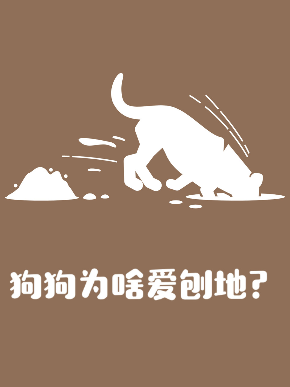许多狗狗都会有刨地的行为,但也许会发生在不同的情景下,比如上厕所