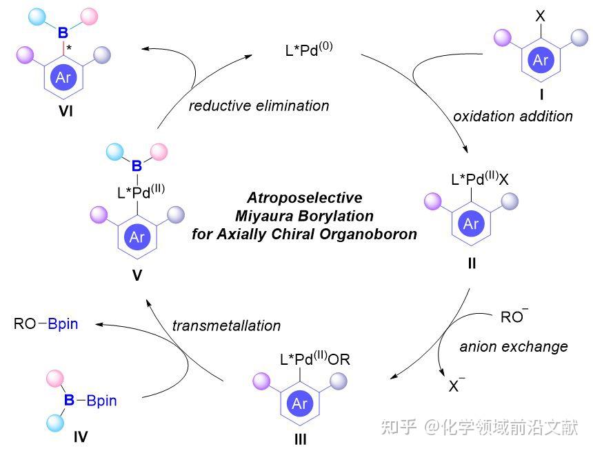 transmetallation图片