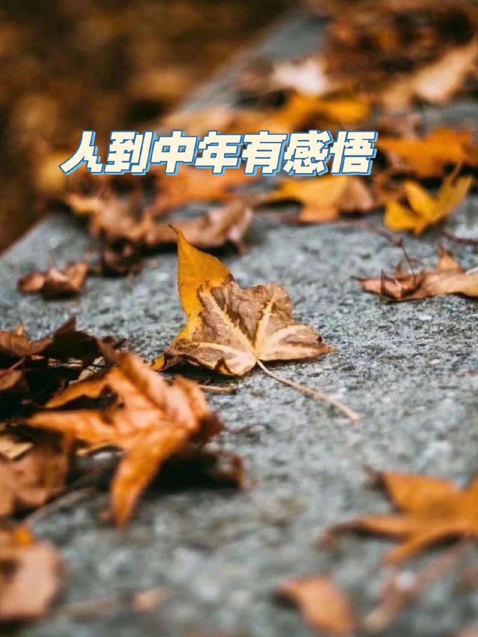 人到中年有感悟 第18天.