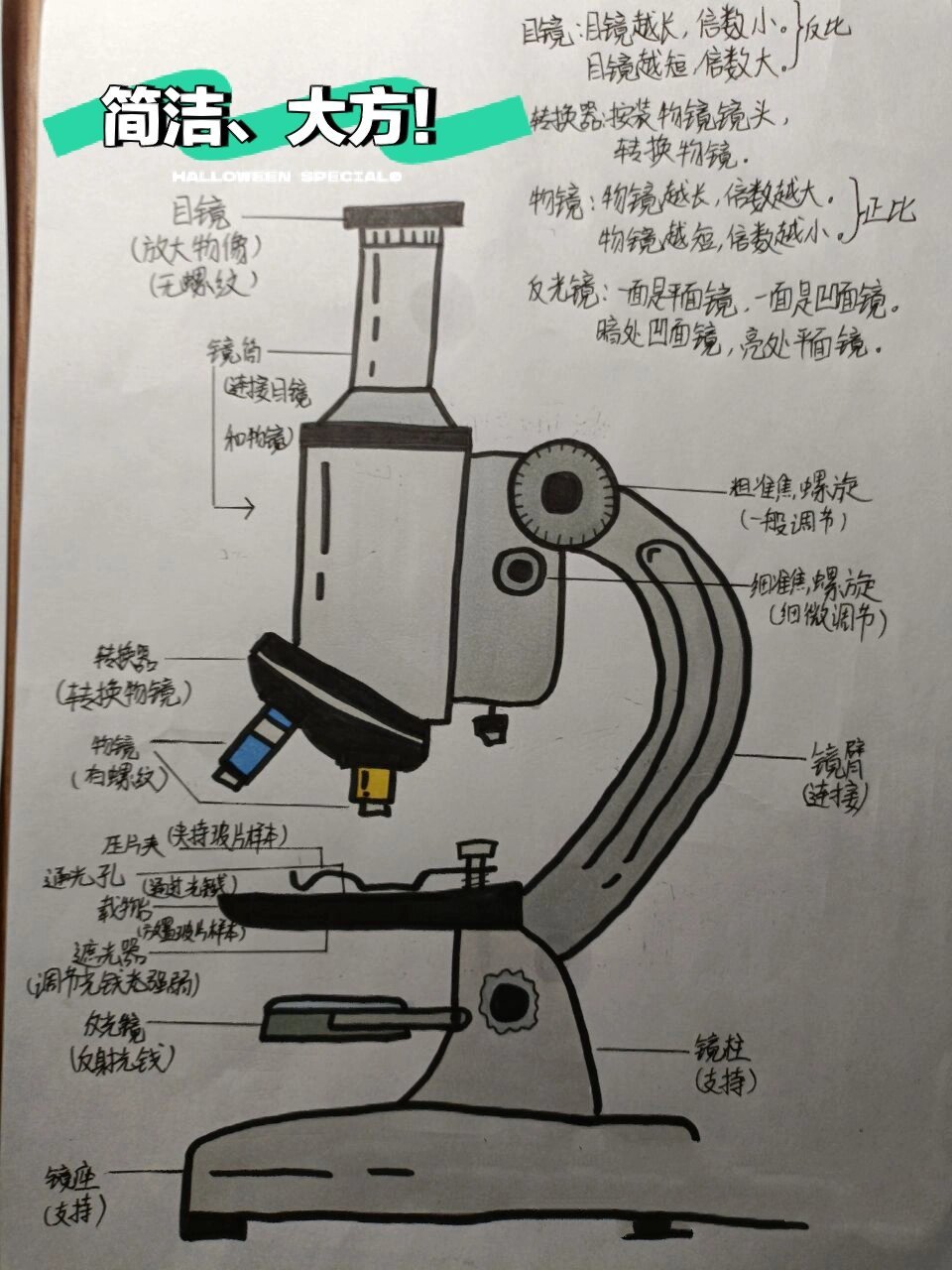 显微镜的思维导图七上图片