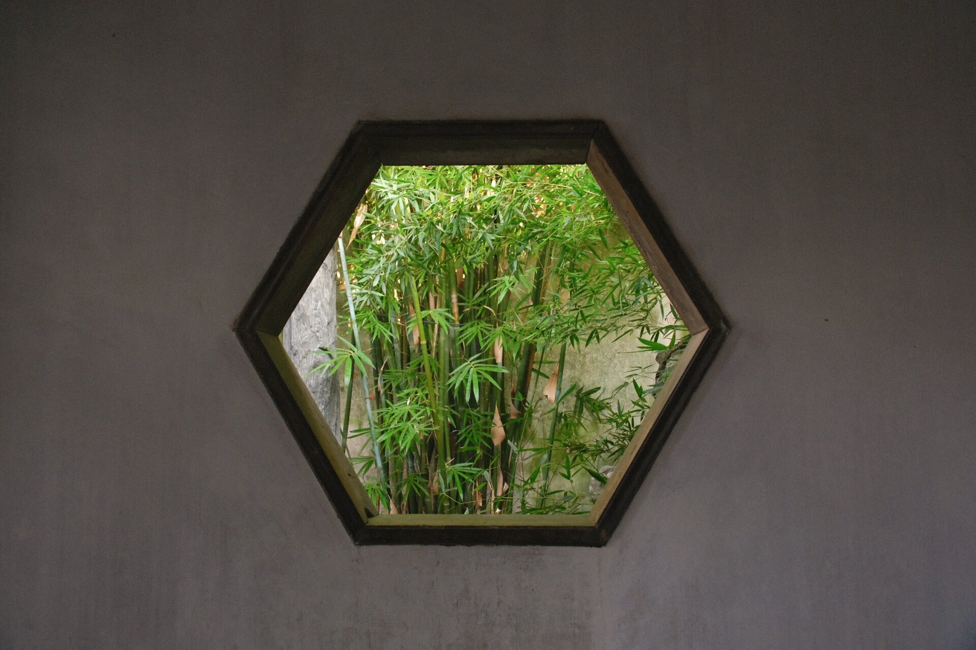 秋天有一万个理由爱上苏州园林|留园的框景 留园作为四大园林之一,虽