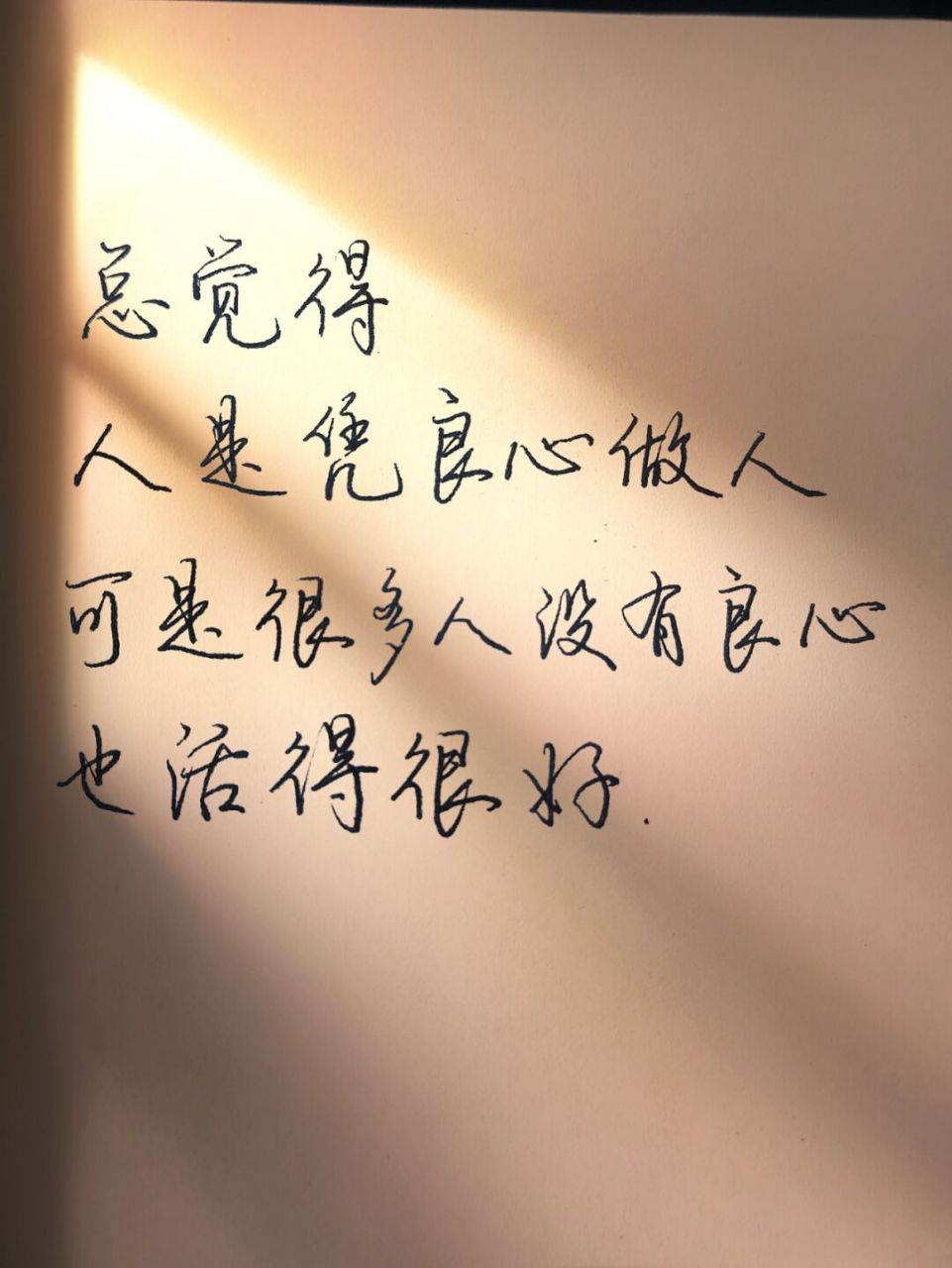 總覺的,人是憑良心做人,可沒良心也活的好