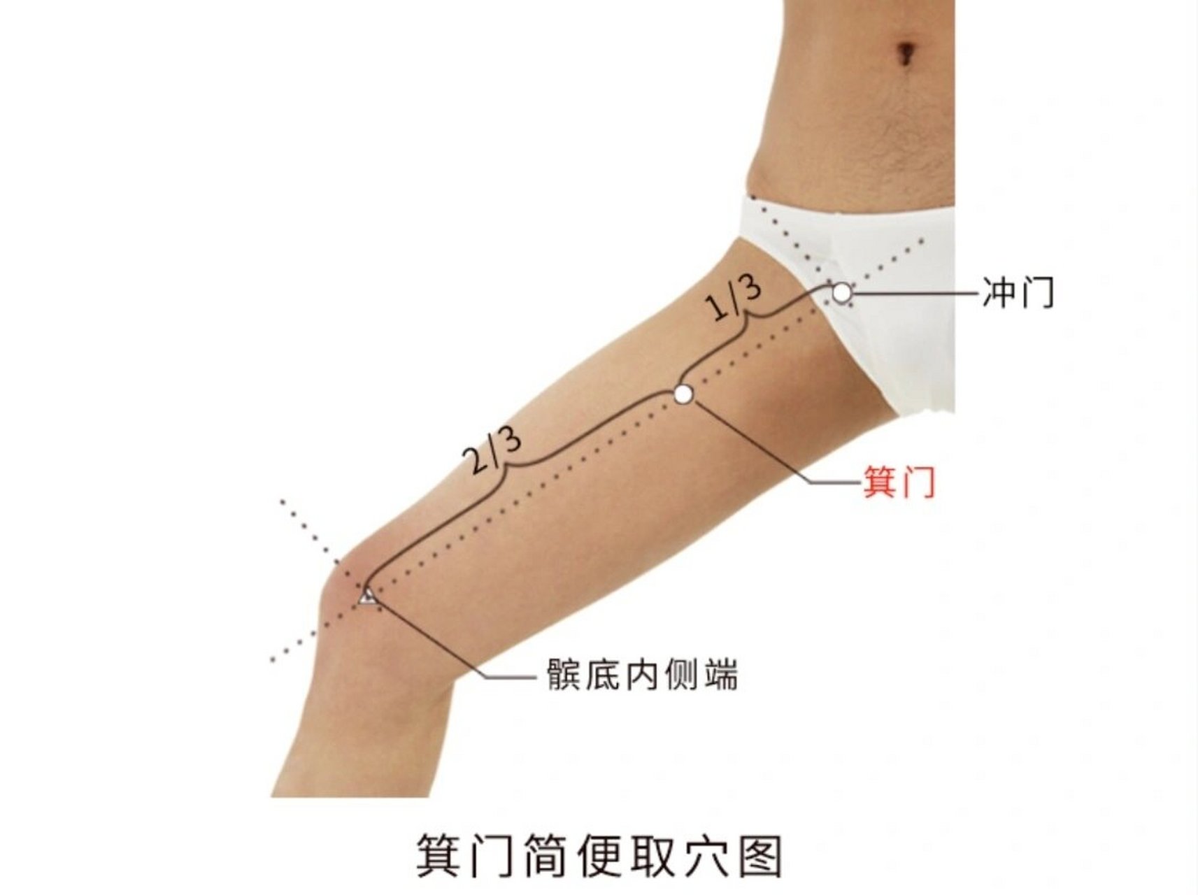 箕门的准确位置图片图片