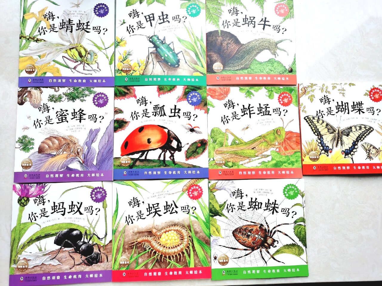 科普绘本:虫子启蒙,耐看 好看 生活在城市的小朋友很难有机会接触到