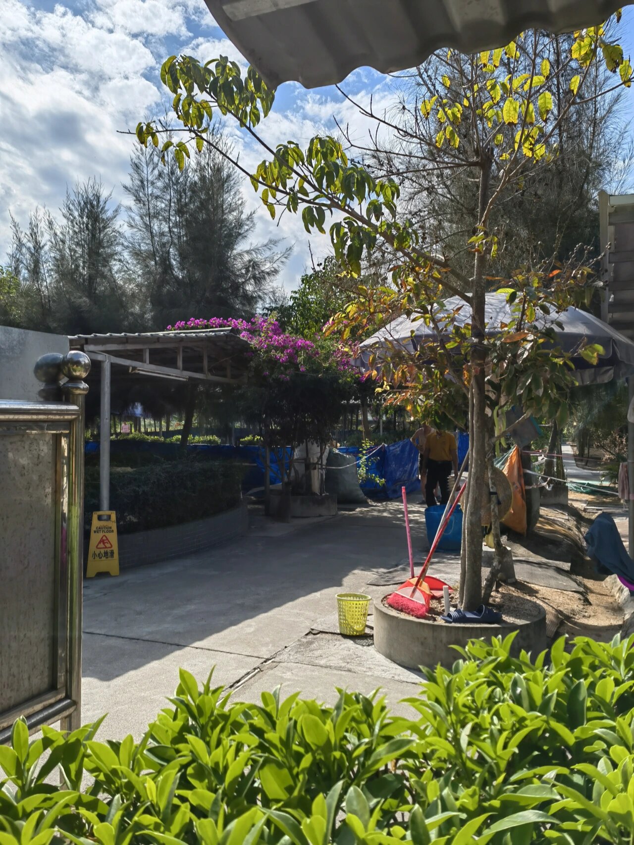 台山 东洲温泉 咸水真温泉