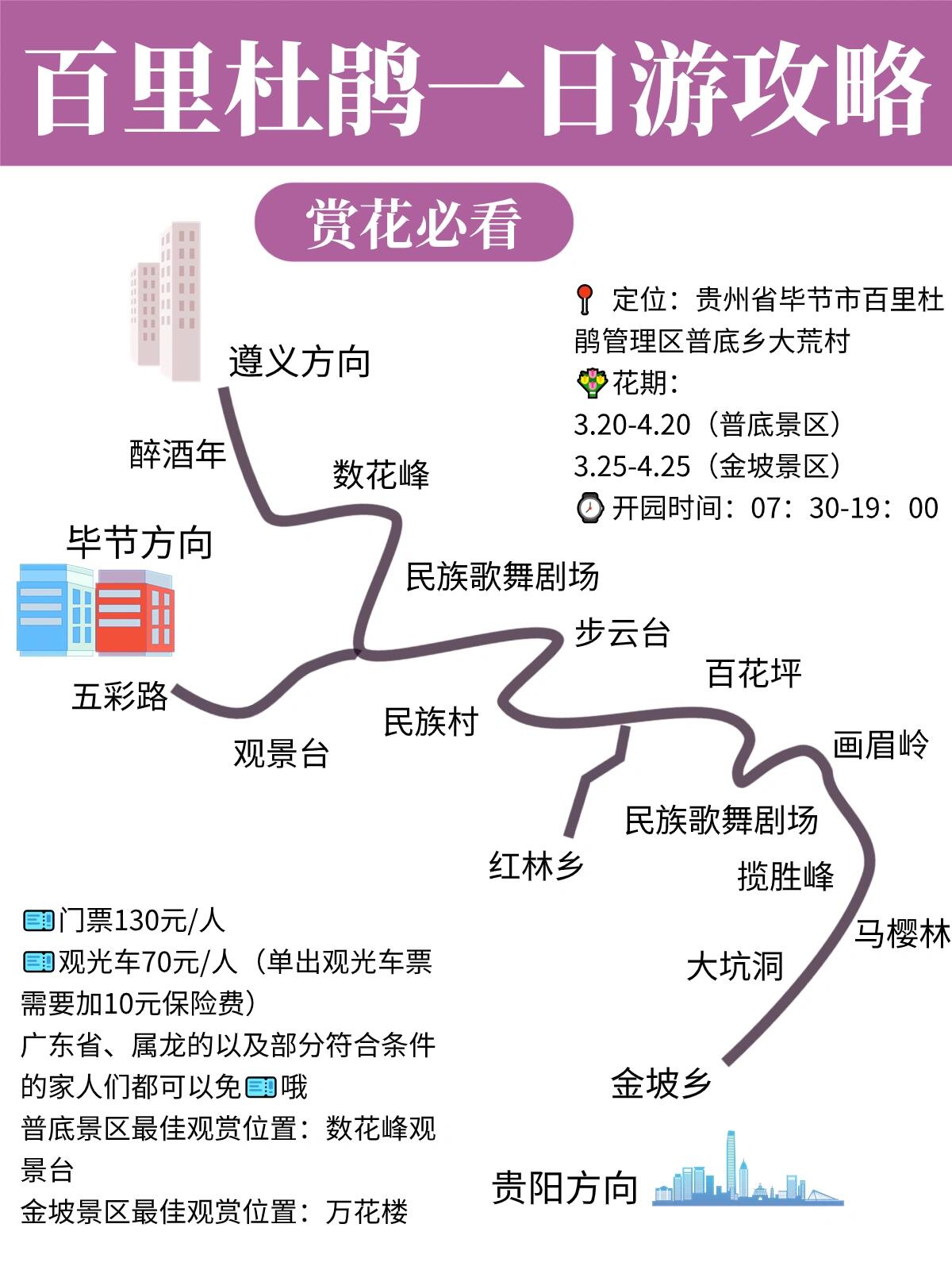 百里杜鹃旅游攻略图片