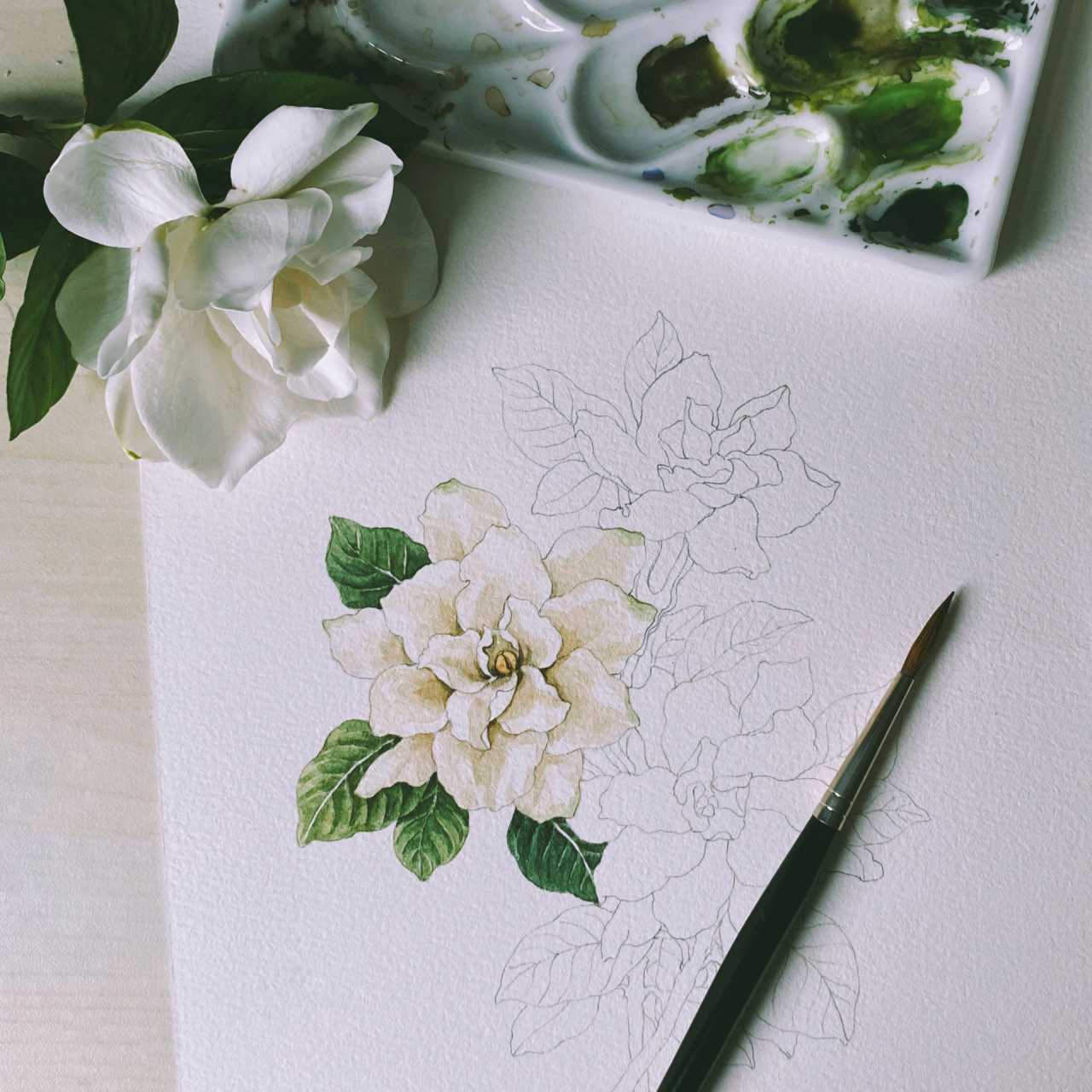 手绘花卉|栀子花 最熟悉,最可爱的花—栀子花 小时候在老家 家家户户