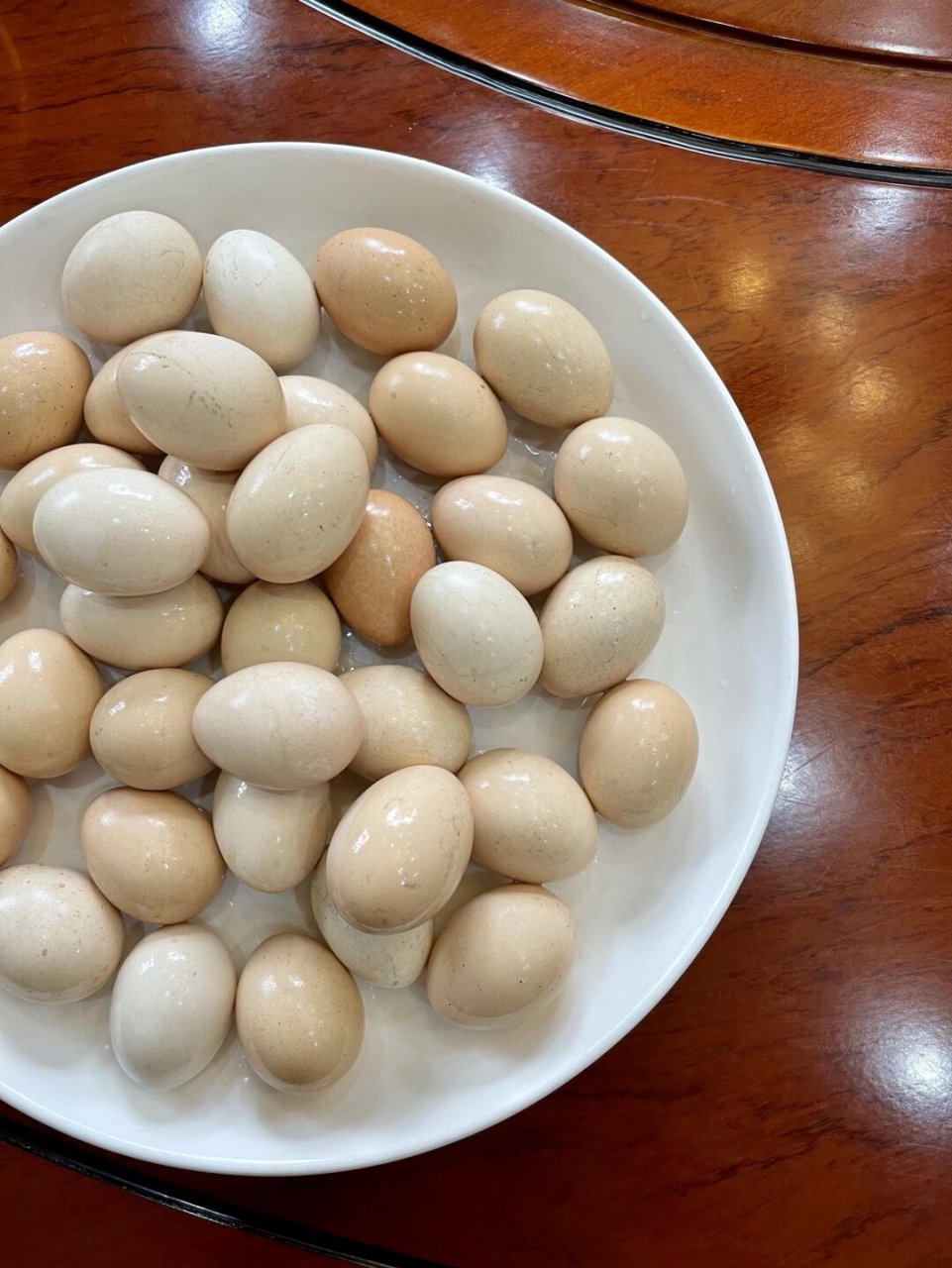 纯正的泰和乌鸡蛋 3-5天仅下一枚蛋75157515 所以产量相对