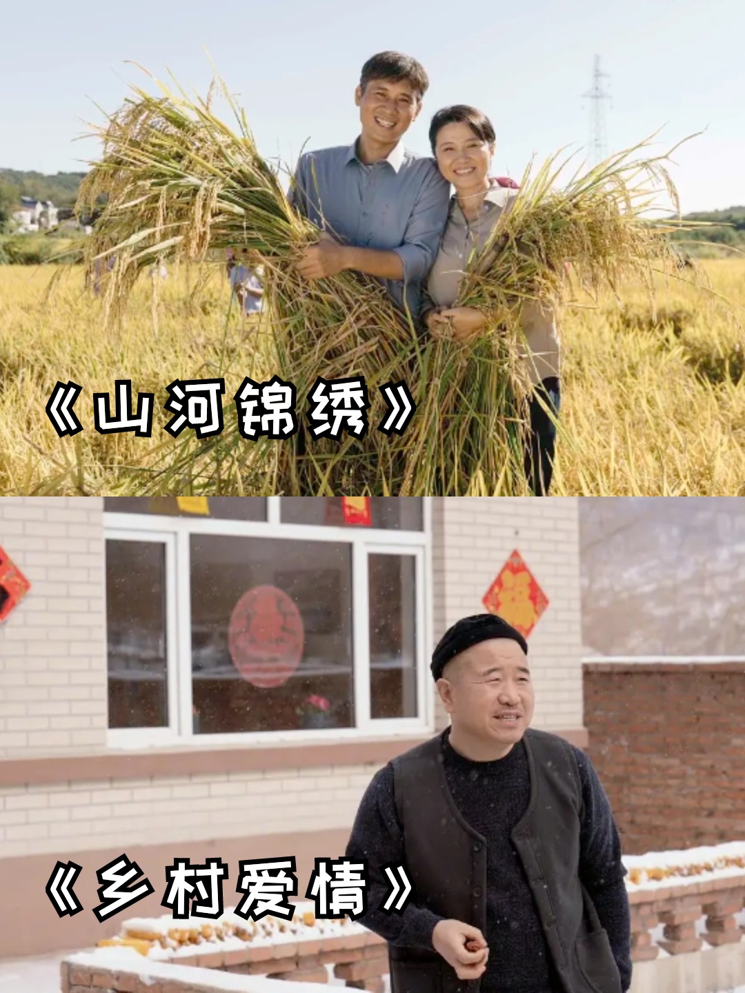 10部农村电视剧大全