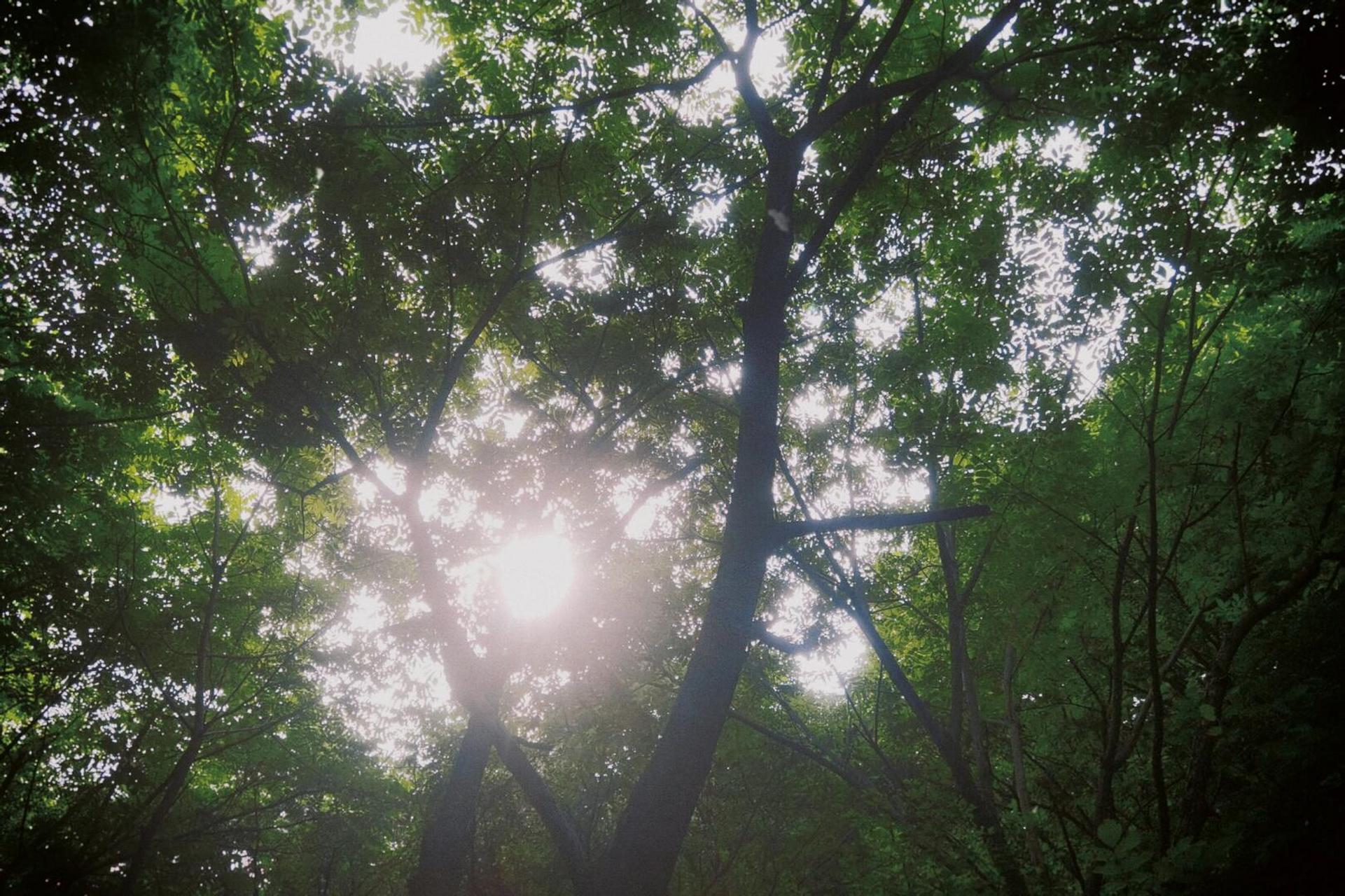 我现在觉得特别快乐,每一天把自己的工作用心做好