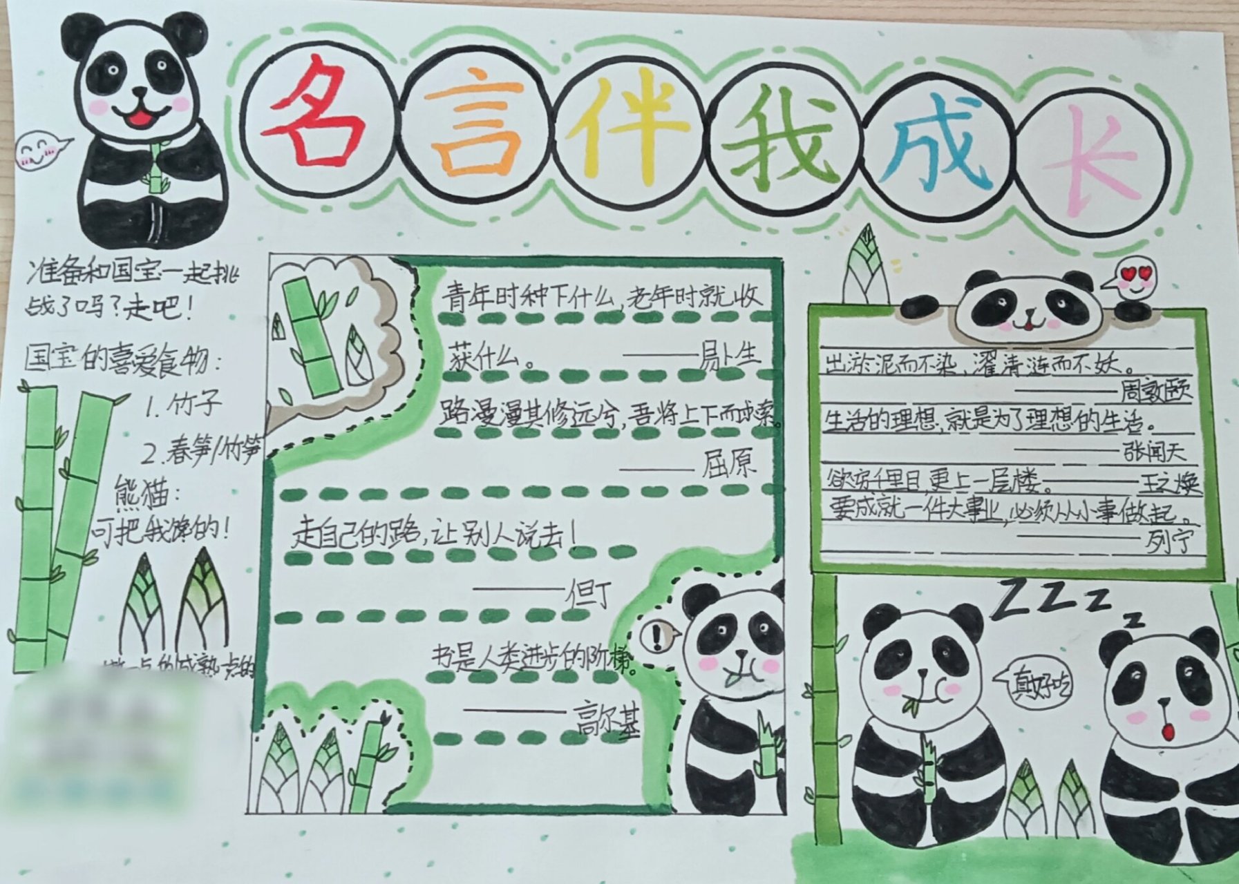 "名言伴我成长" 手抄报