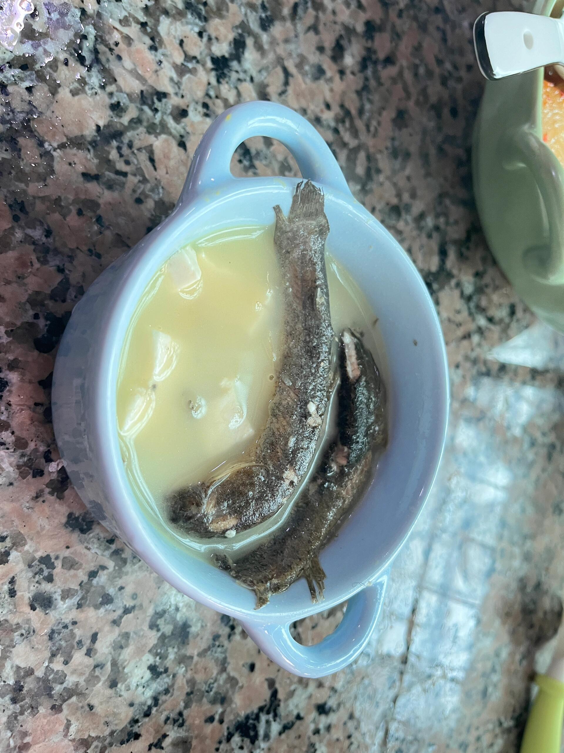 泥鳅豆腐汤 你做了没?