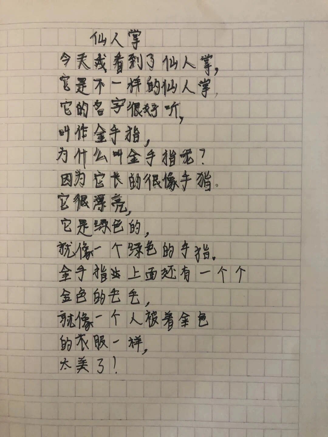 孩子们的诗 | 仙人掌的诗🌵