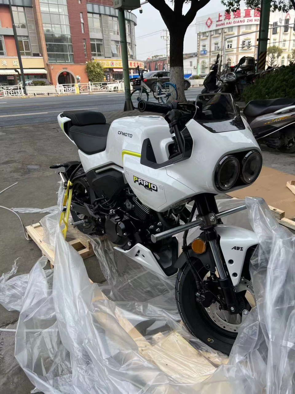 新款狒狒 这对迷人的大眼睛,你爱了么?