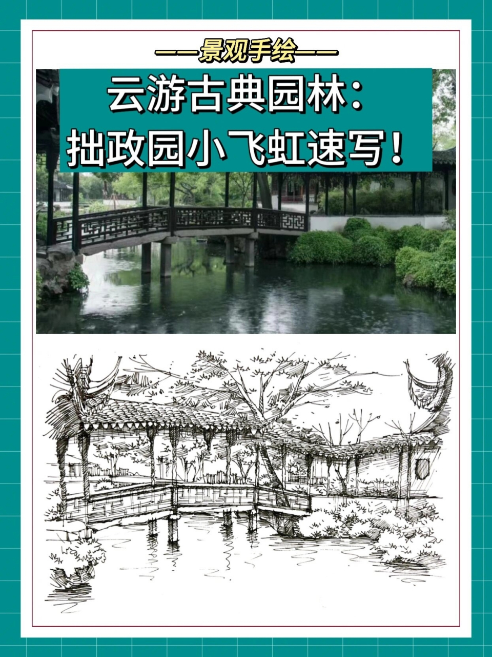 来看拙政园小飞虹云速写!