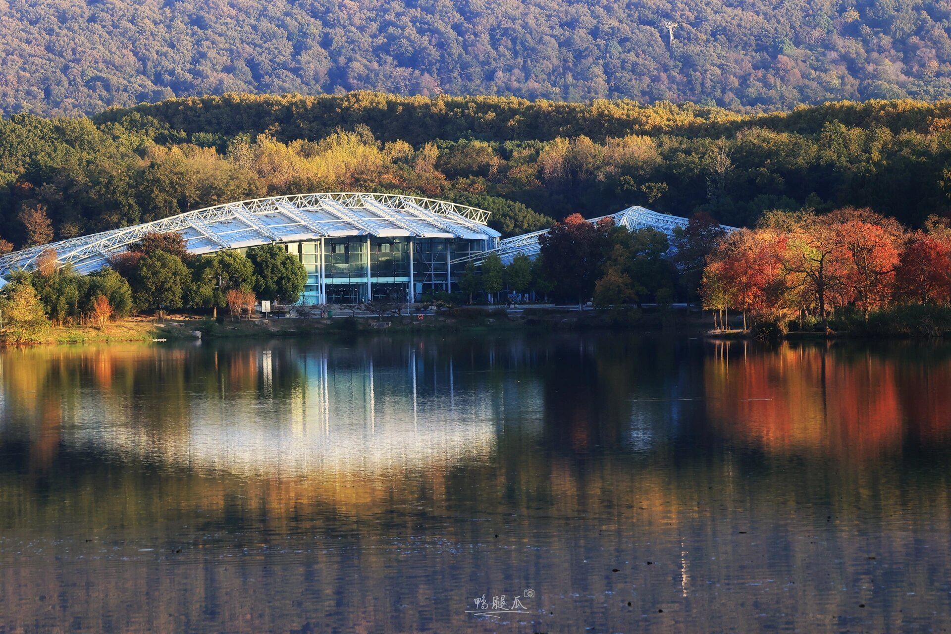 大自然对秋天的偏爱93 在南京前湖公园展现的淋漓尽致!