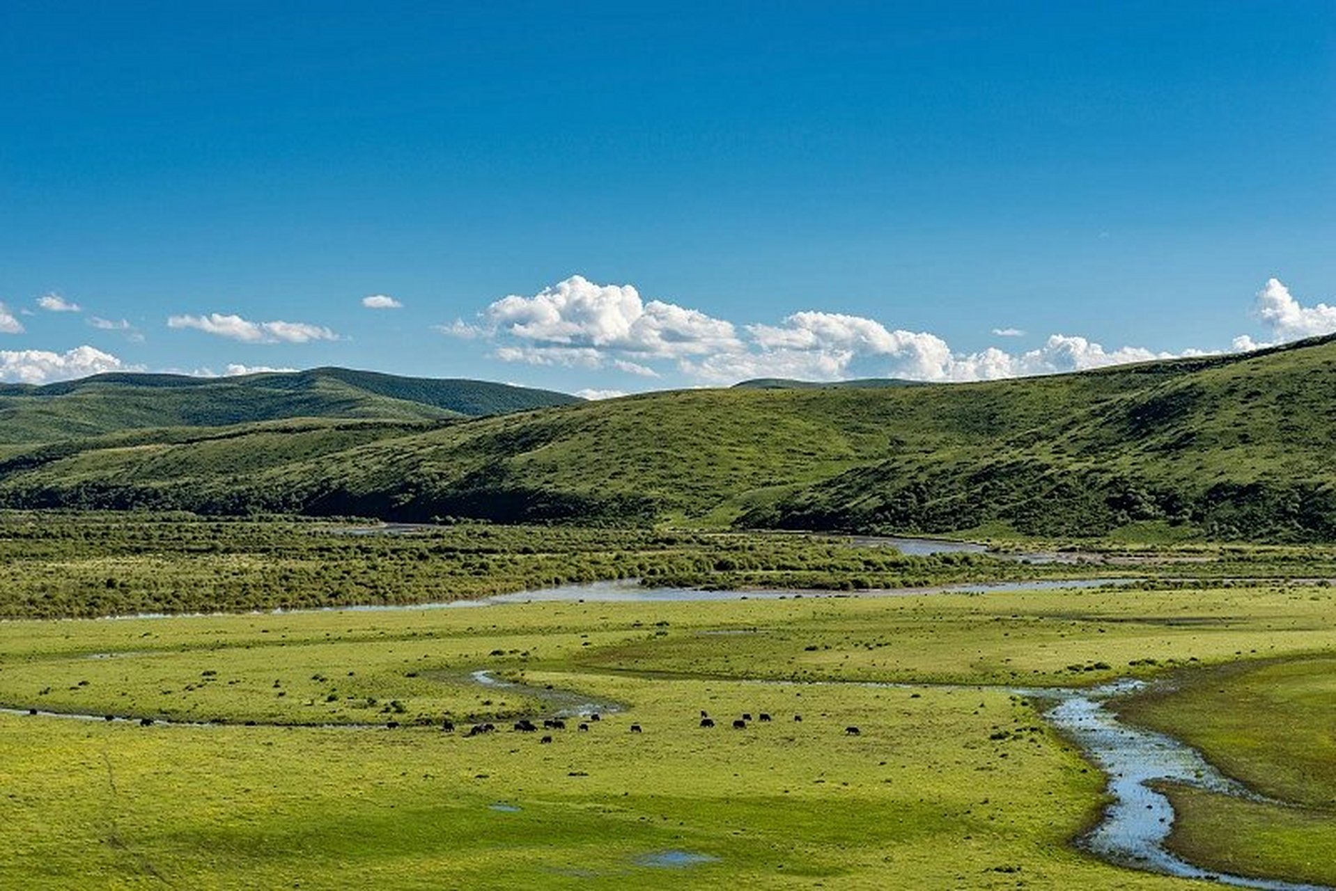 中国自然地理科普(15)——红原草原 红原大草原,位于四川省境内,青藏