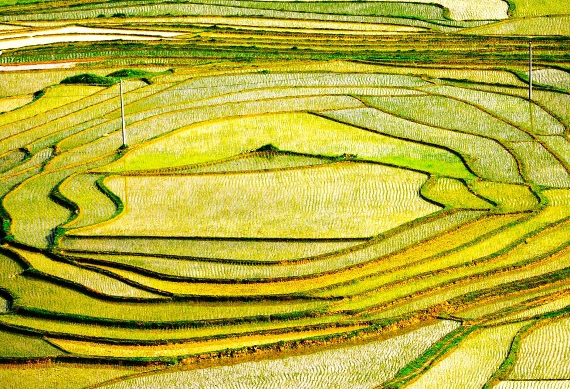 南丹县风景 南丹县 巴平小梯田 甘河瑶寨 古榕鸳鸯桥 白裤瑶生态博物